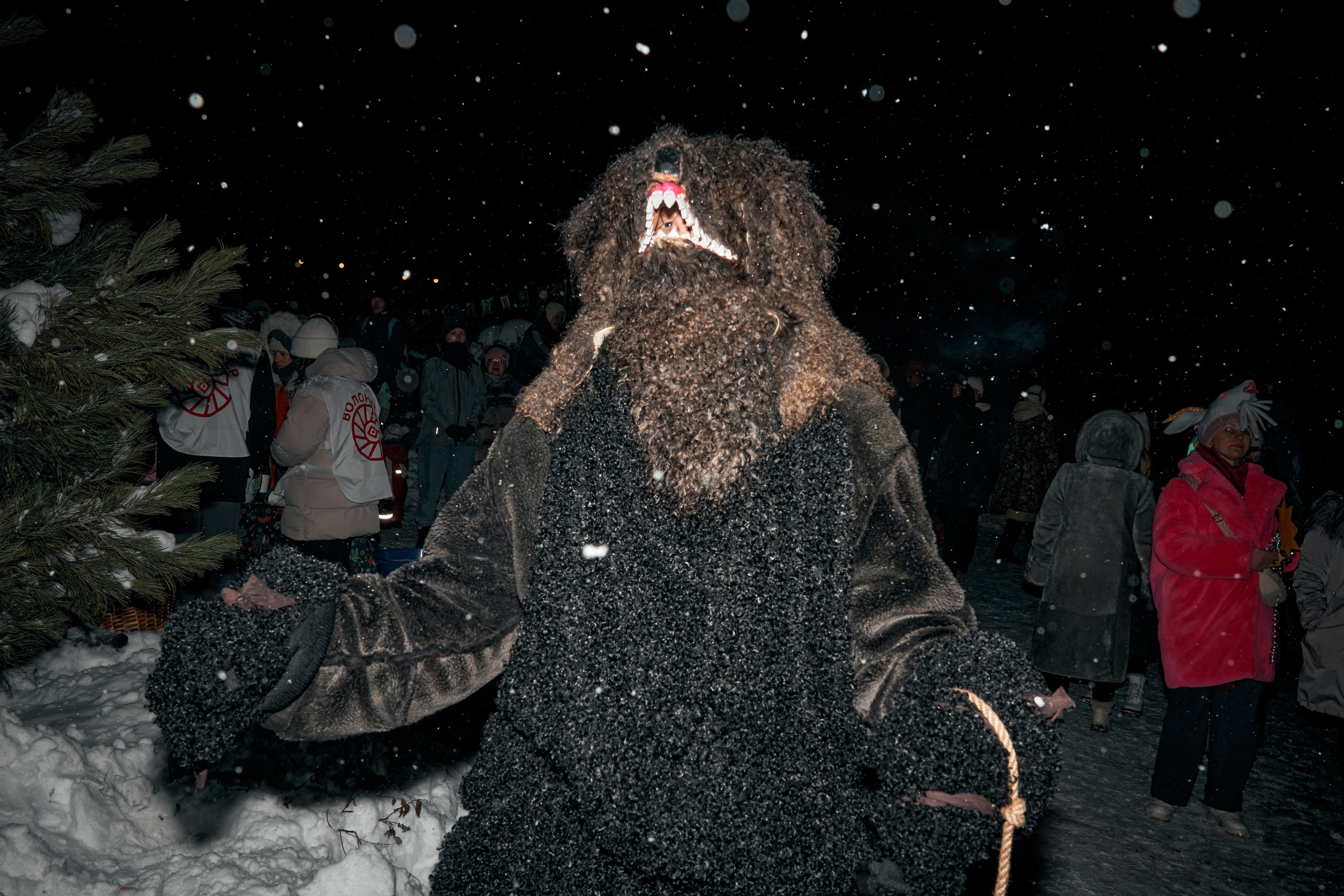 С медведем по соседям. Фотограф