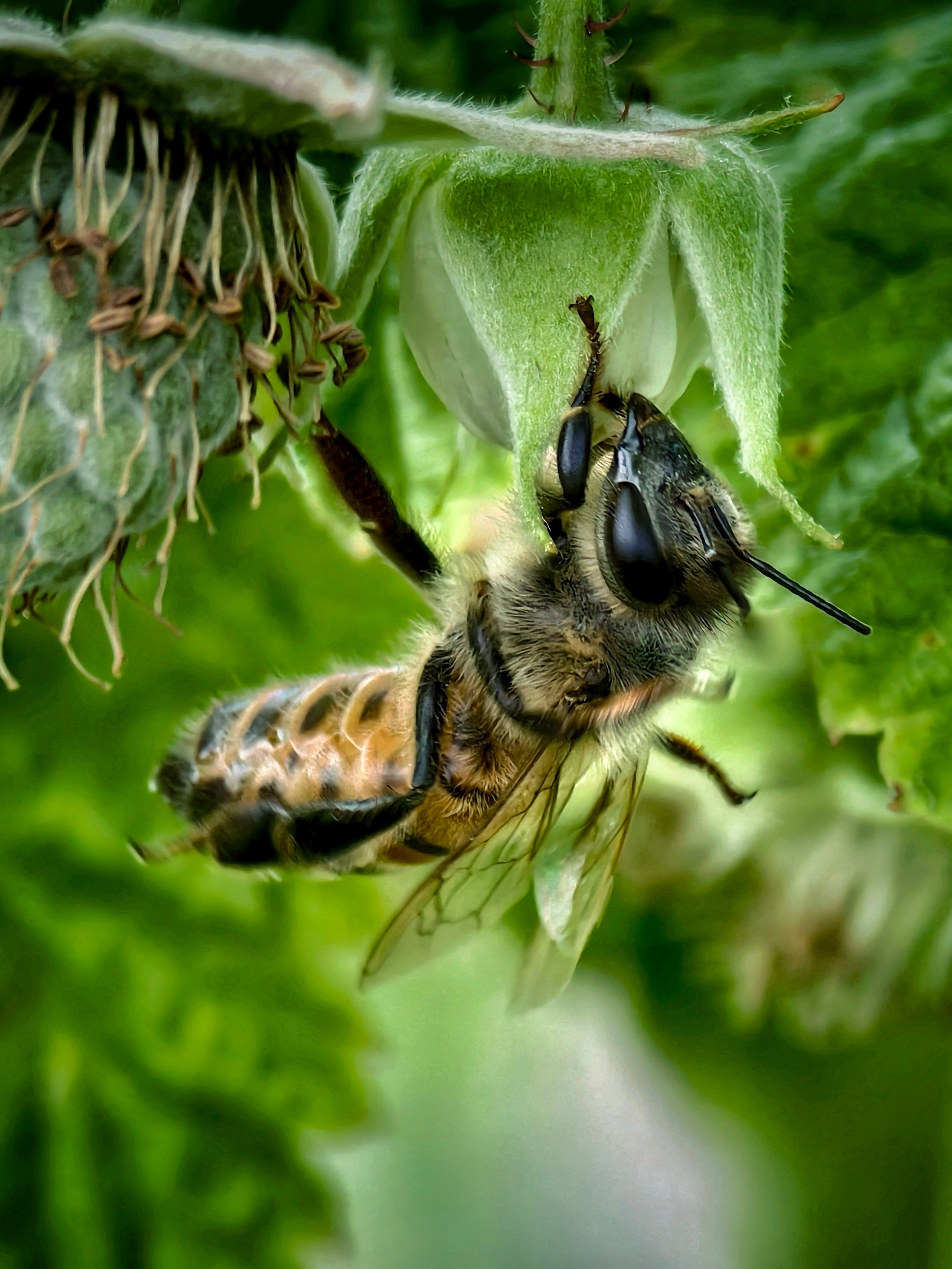 Большое в малом