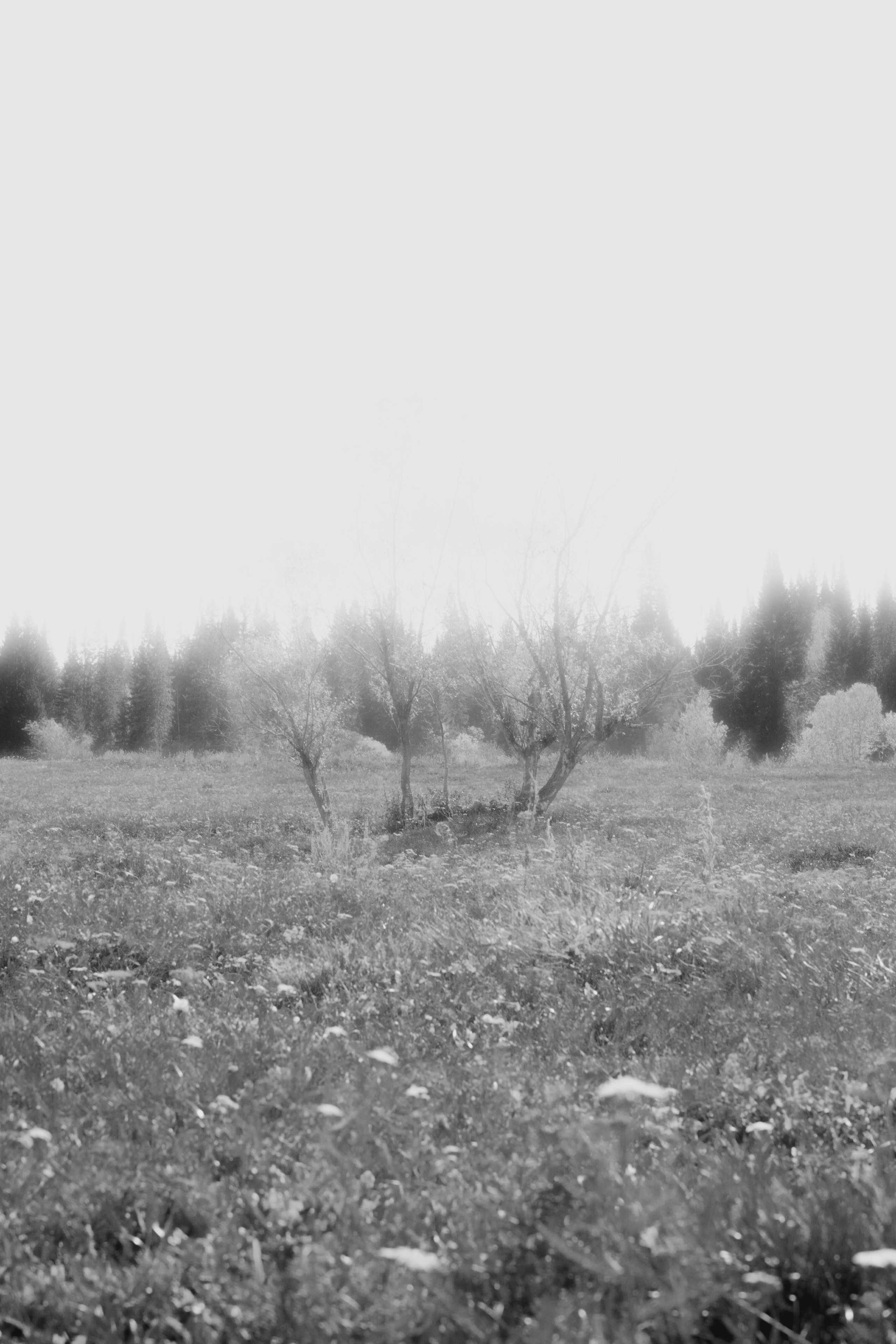 Ишим (Кемеровская область). Veronika Popadeikina Photographer