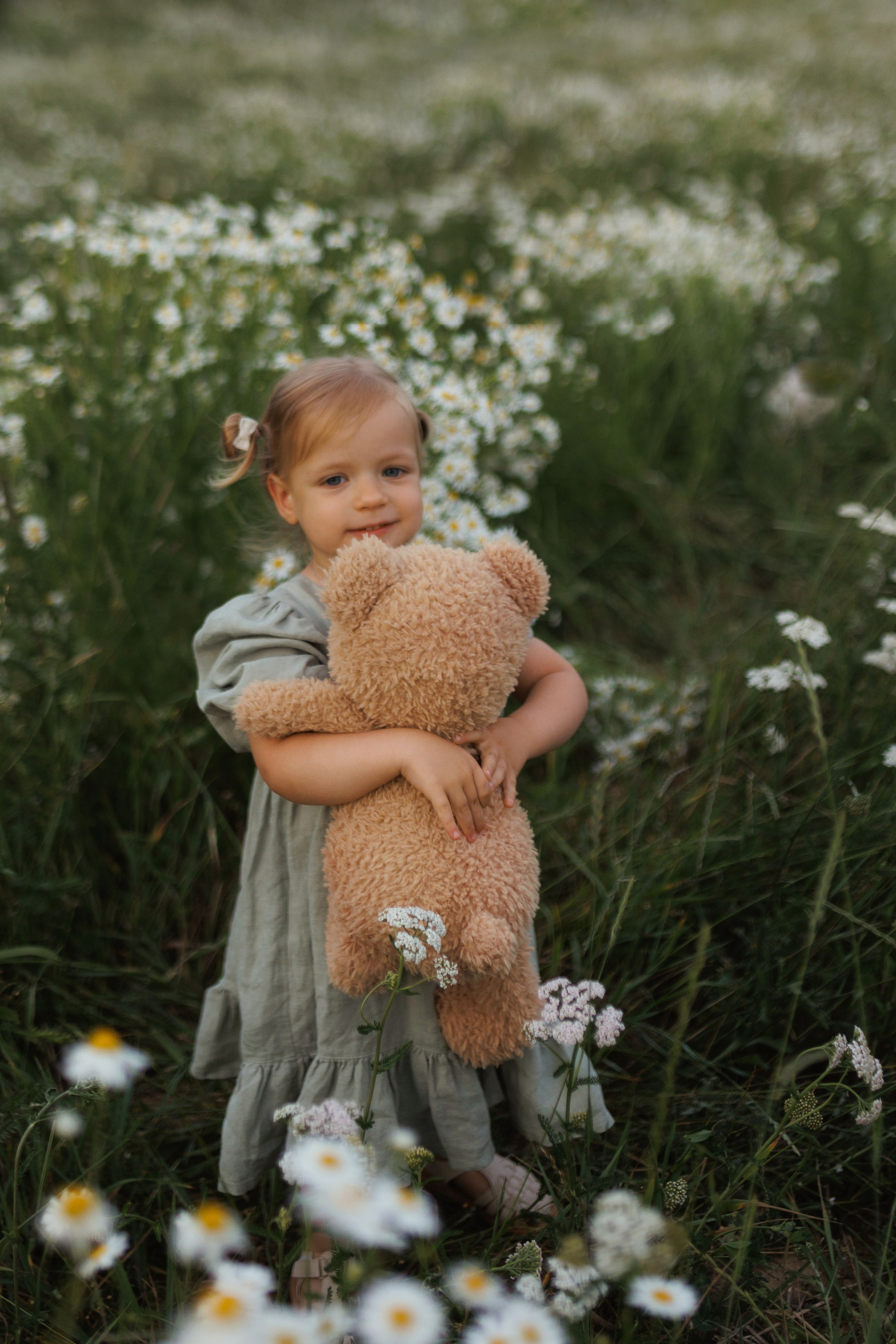 В ромашковом поле. Фотограф в Красногорске и Москве