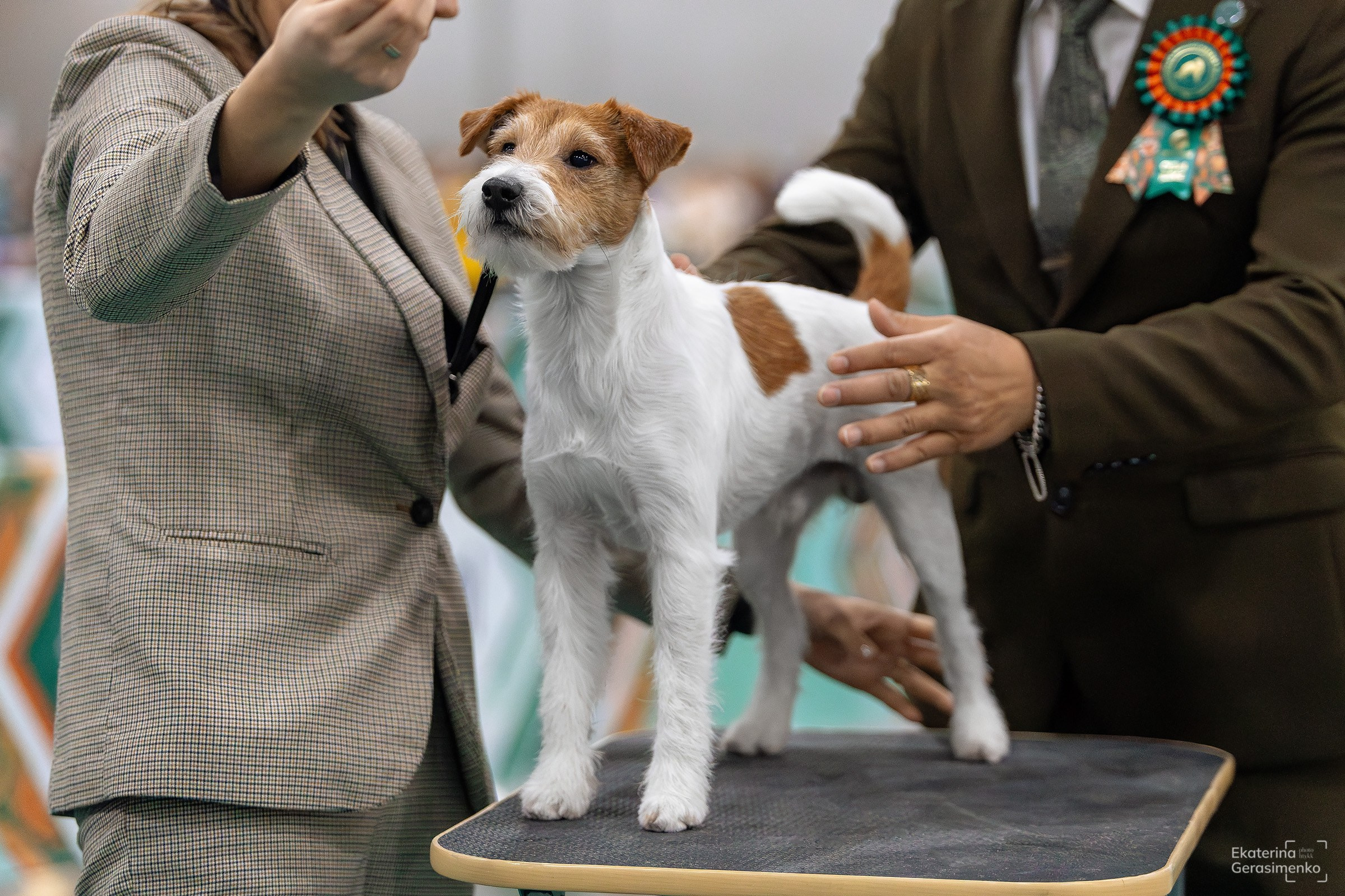 16–17 ноября 2024, Выставка ЕВРАЗИЯ, г. Москва. Htykk_photo