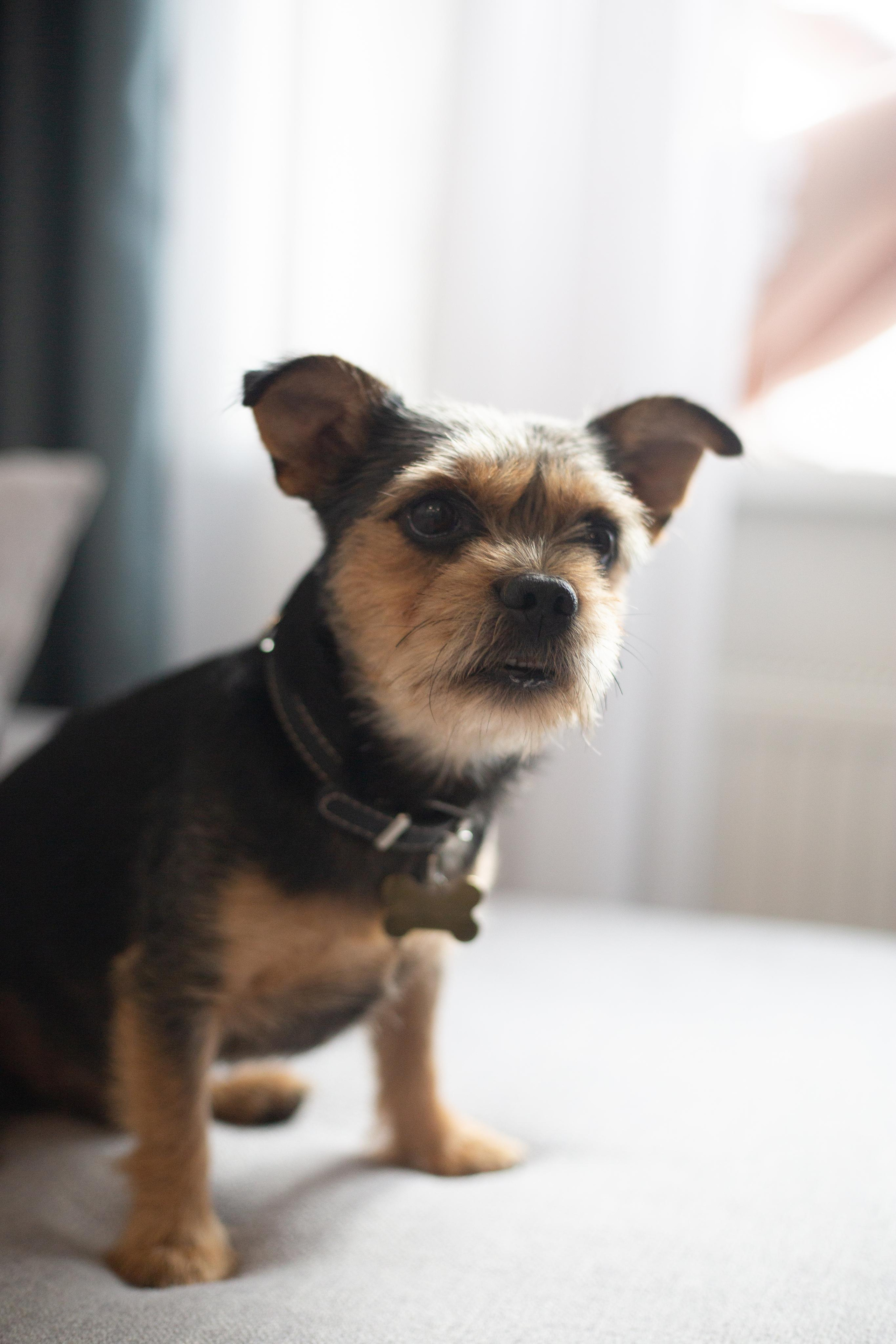 Кристина и Евгений. Свадебный фотограф в Москве и Твери