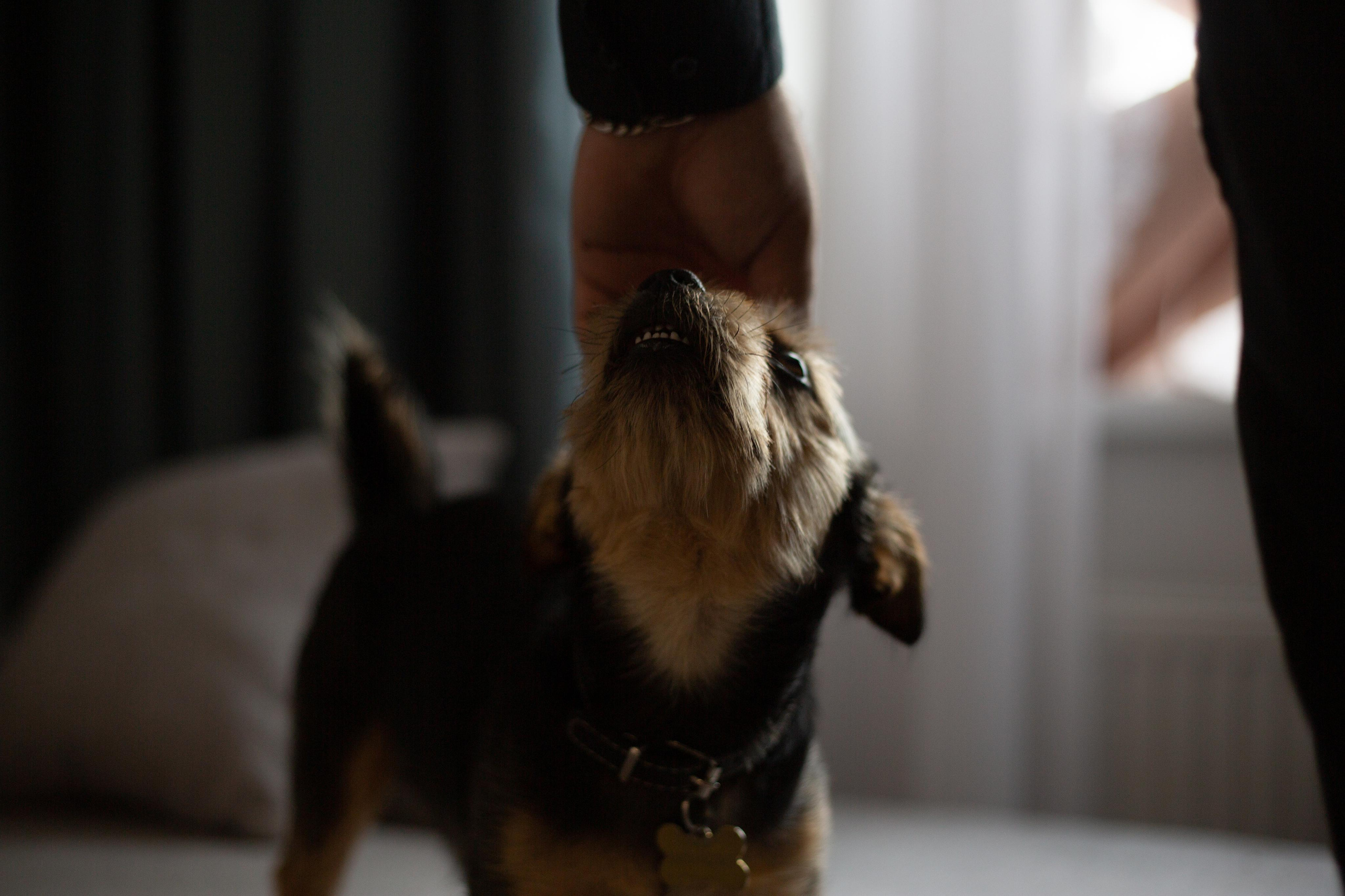 Кристина и Евгений. Свадебный фотограф в Москве и Твери