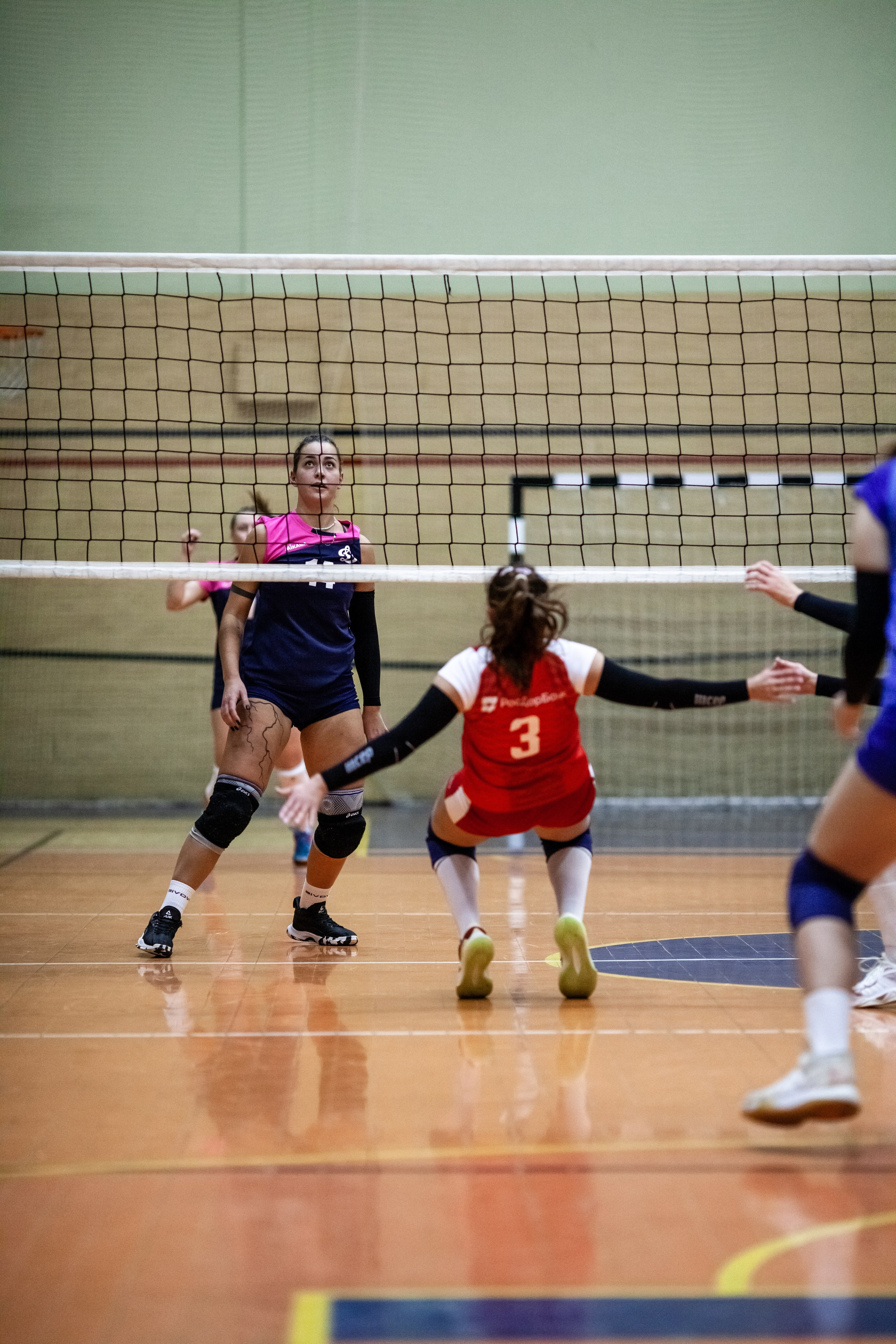 «Спартак-Чувашия» — «Динамо» Ульяновск /1 игра. Фотография