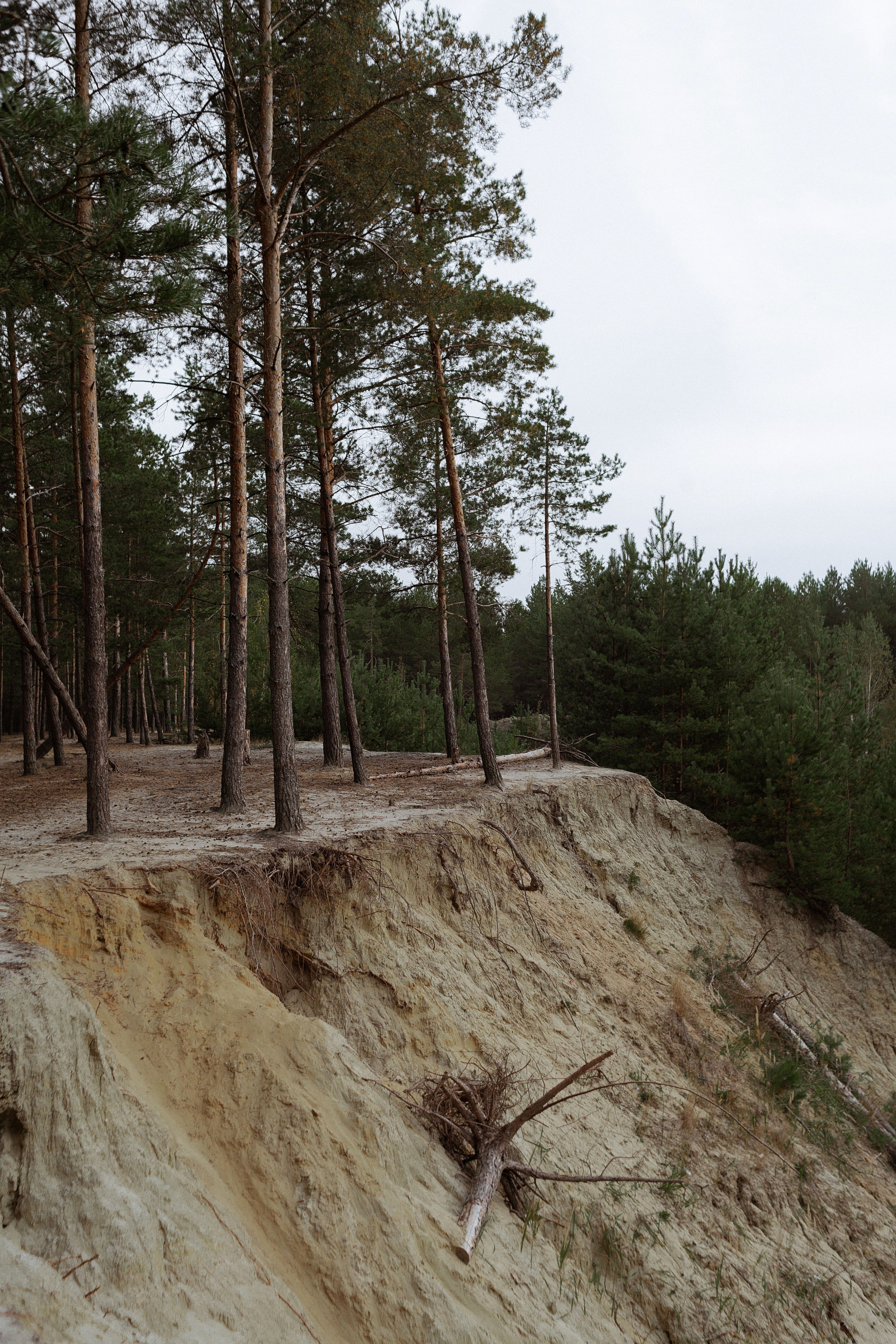 Детский портрет. Меня зовут Филатова Юлия и я фотографирую женский портрет, семейные съемки, детей в МО и Москве