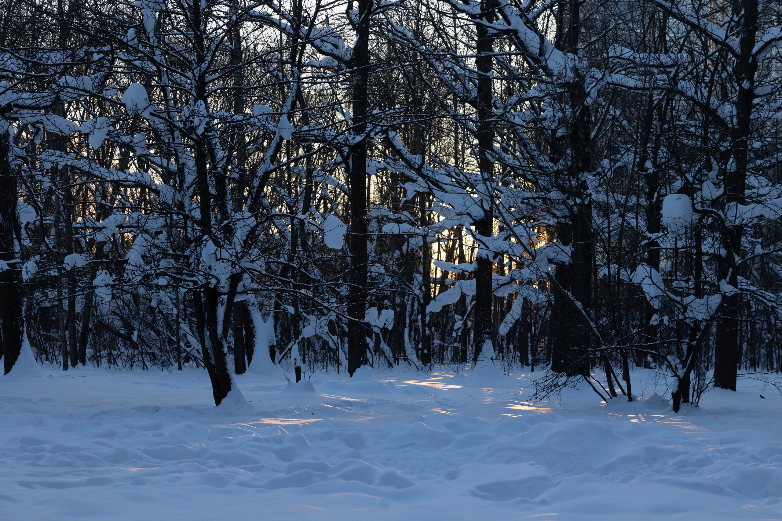 Art prints. Фотограф алина стерхова, алина стерхова фотограф, фотограф москва