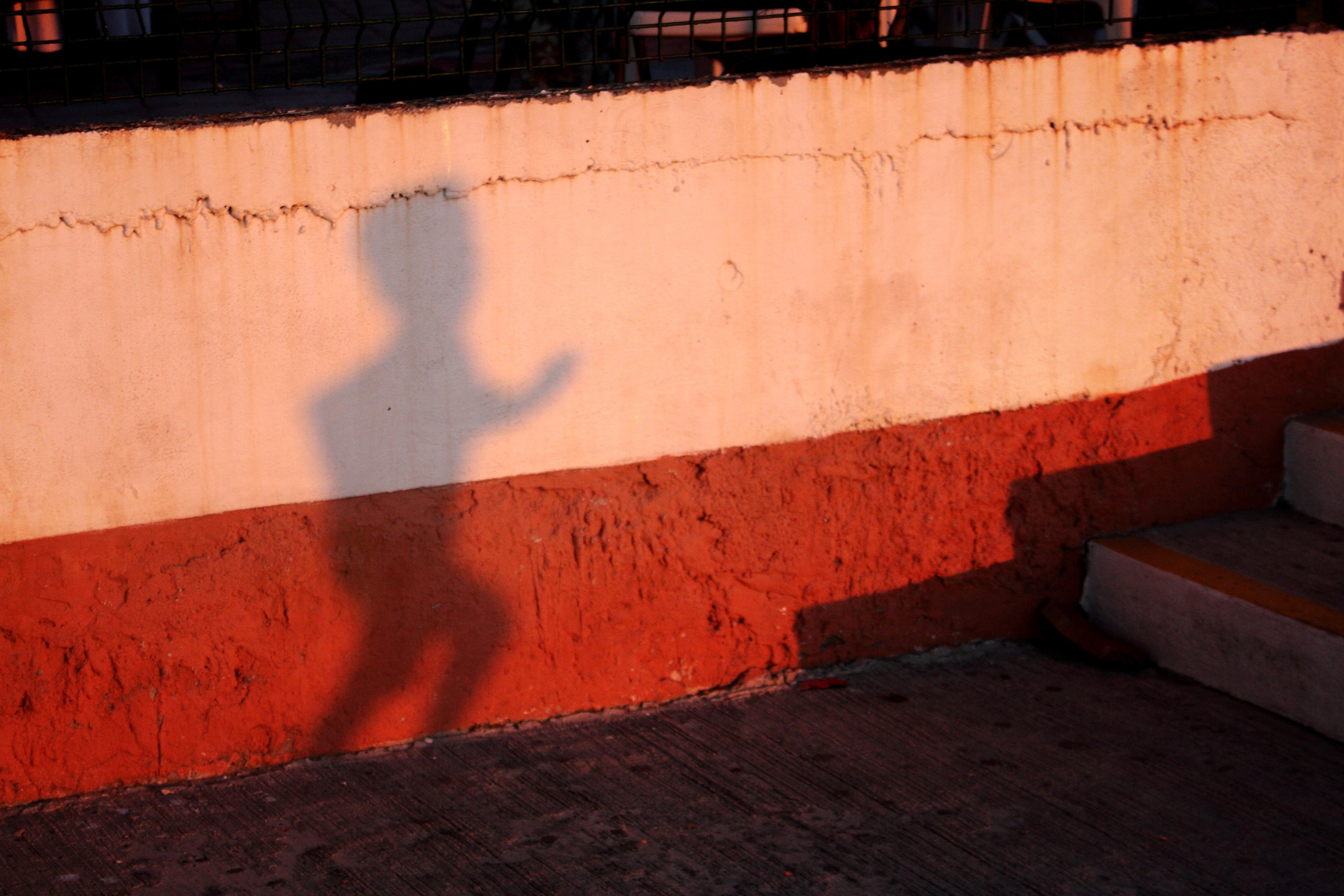 Жанр. Фотограф Лагутин Анатолий