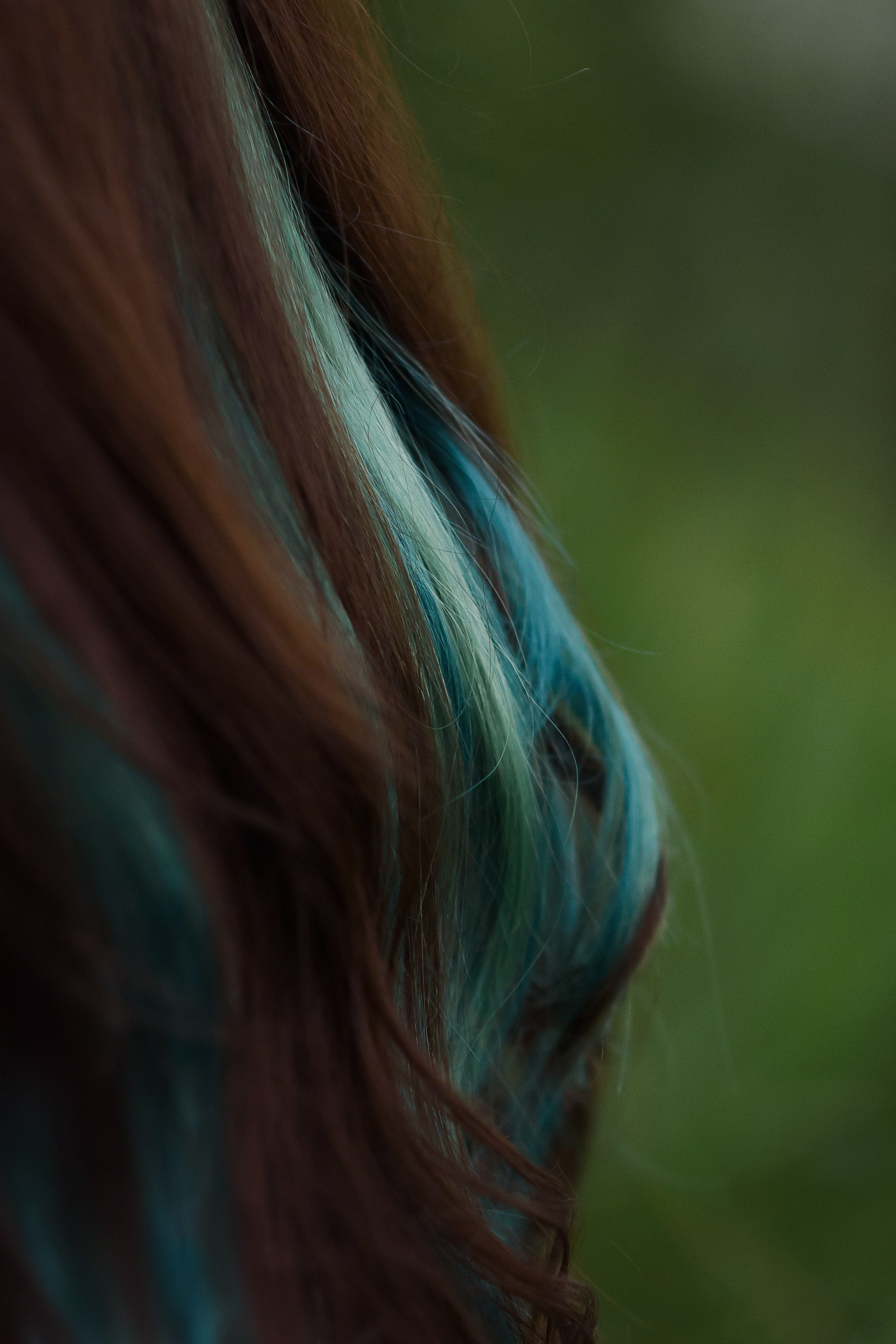 Максим, Надя, Шелби и Рой — 31.05.2025. Фотограф — Анималист | Анна Абрамова