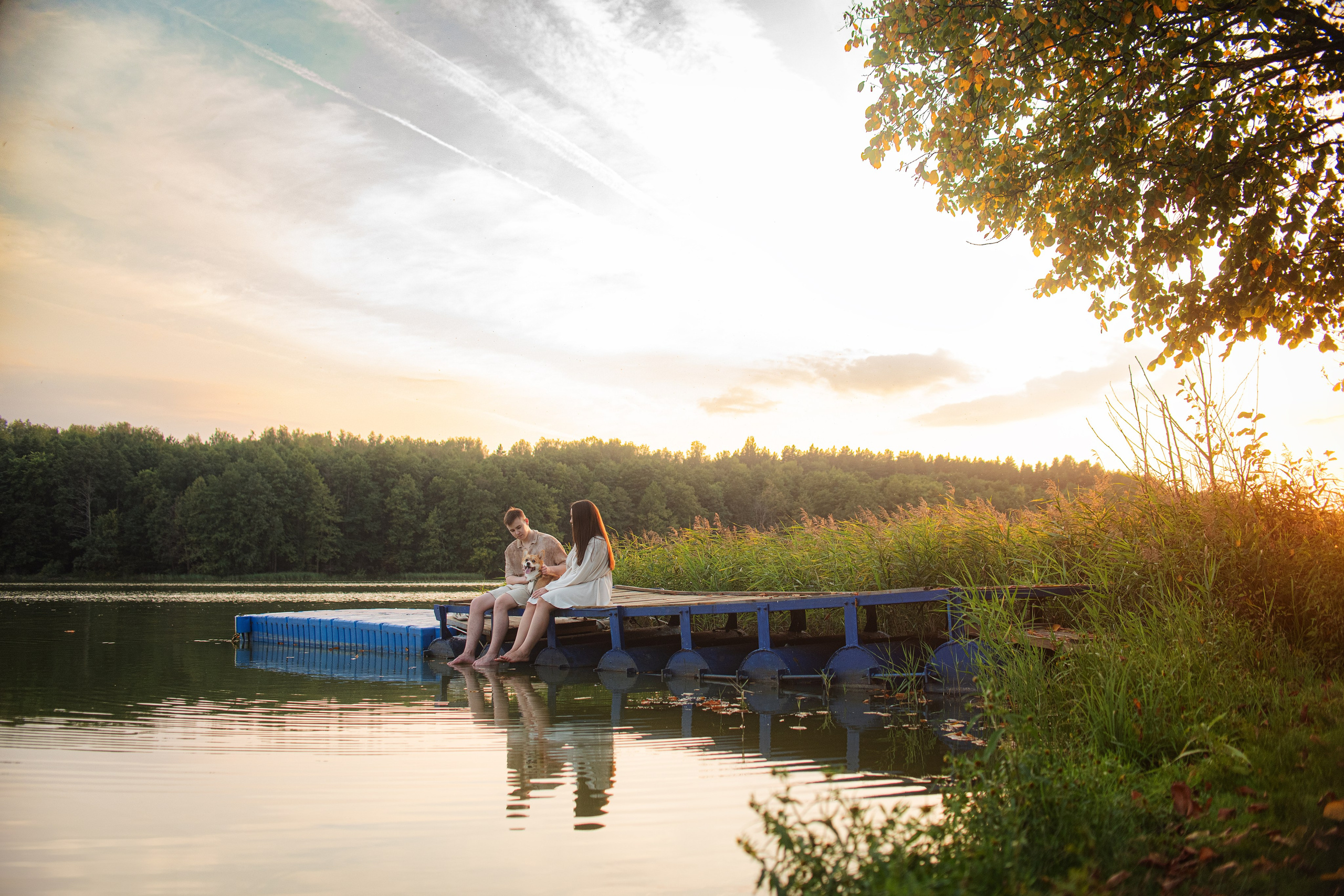 Фотограф — Анималист | Анна Абрамова