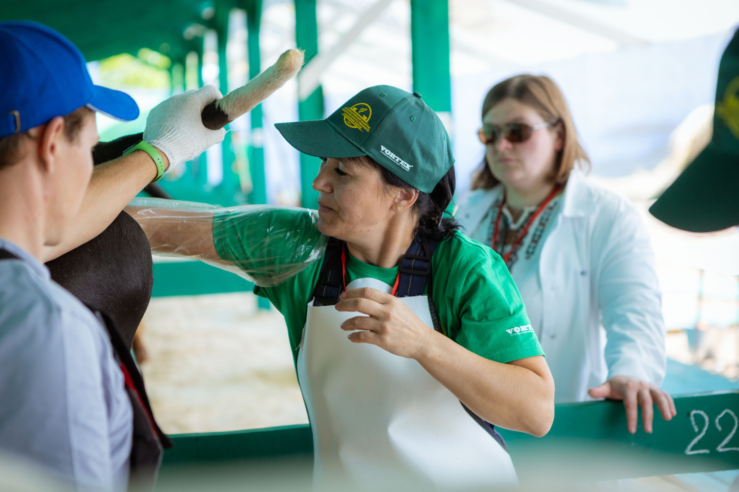 Конкурс операторов осеменения коров [17-18 августа 2022 г.]. Фотограф Виноградов Константин