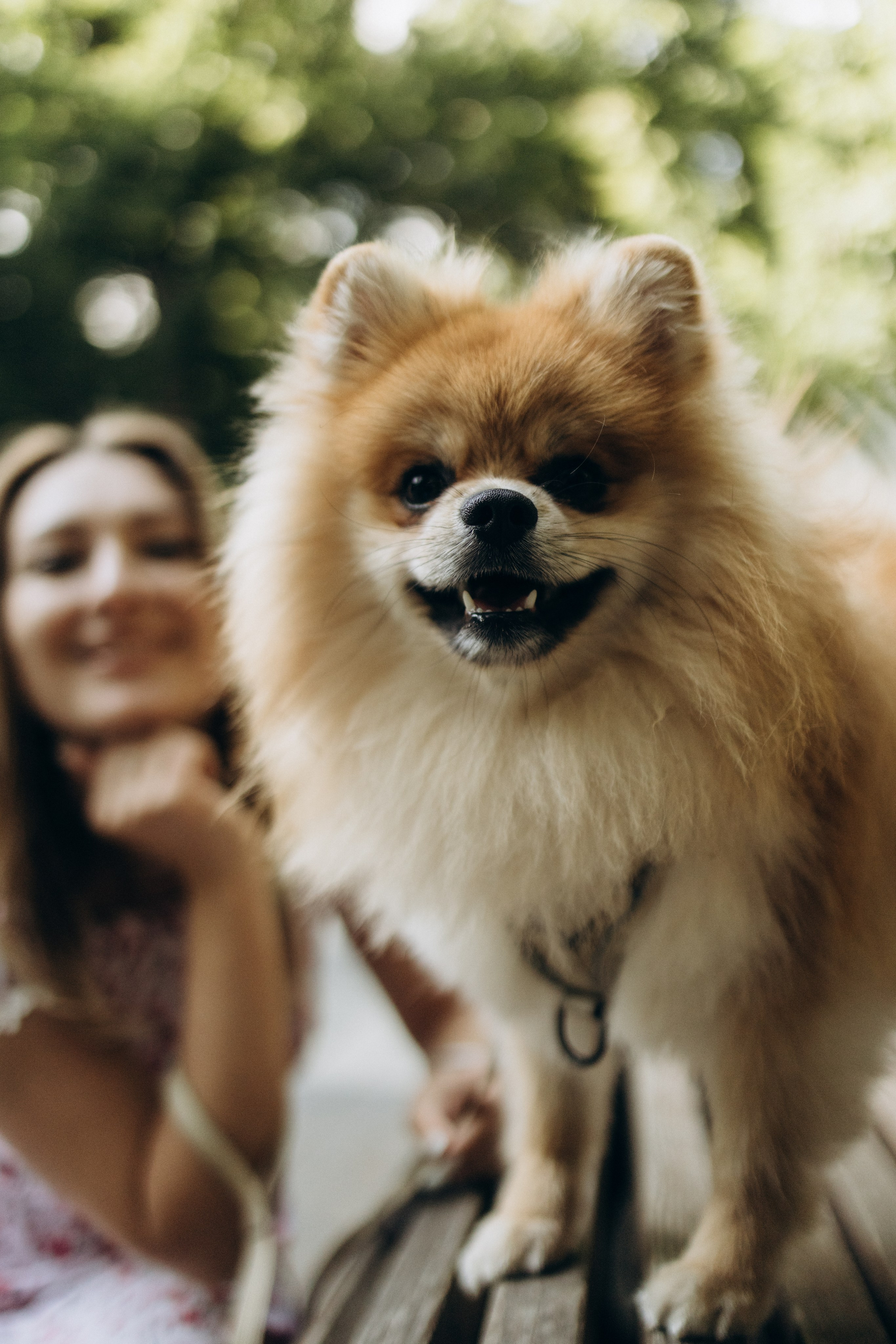 Daria. Фотограф Барнаул Надежда Киселева