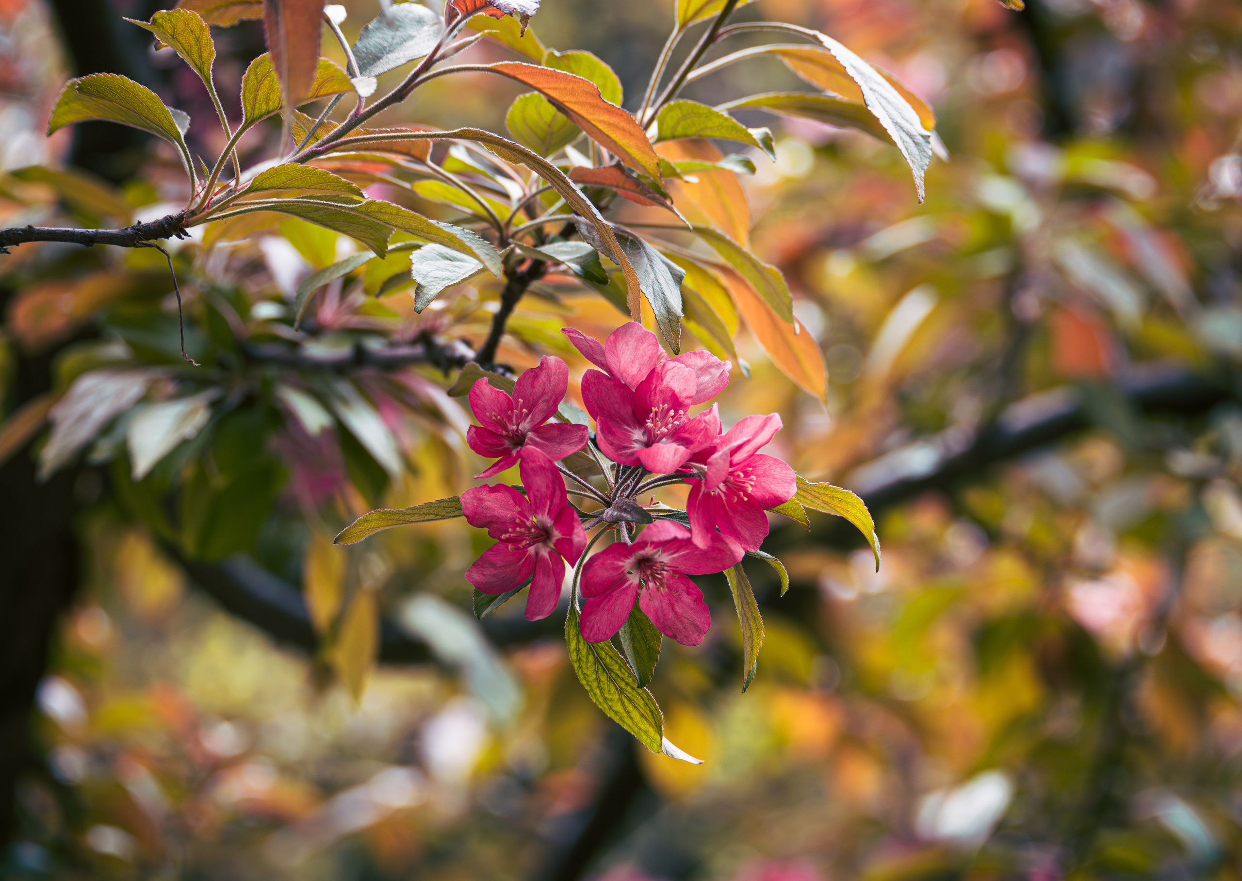 Окружение через объектив