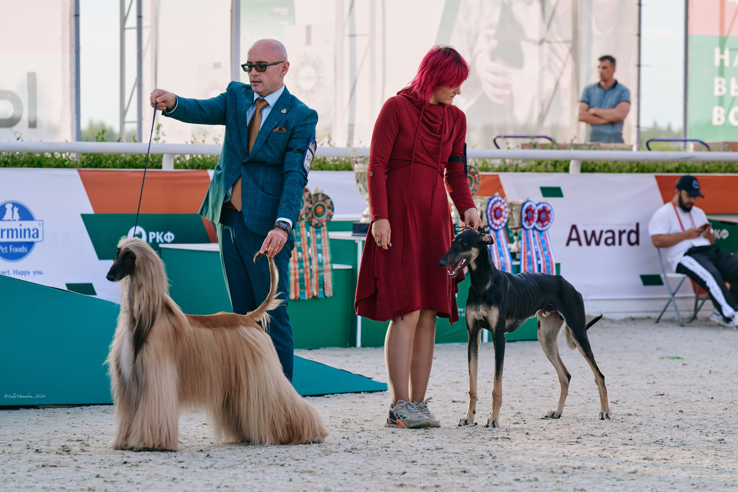 08.06.2024 «РОССИЯ. КУБОК РКФ 2024»