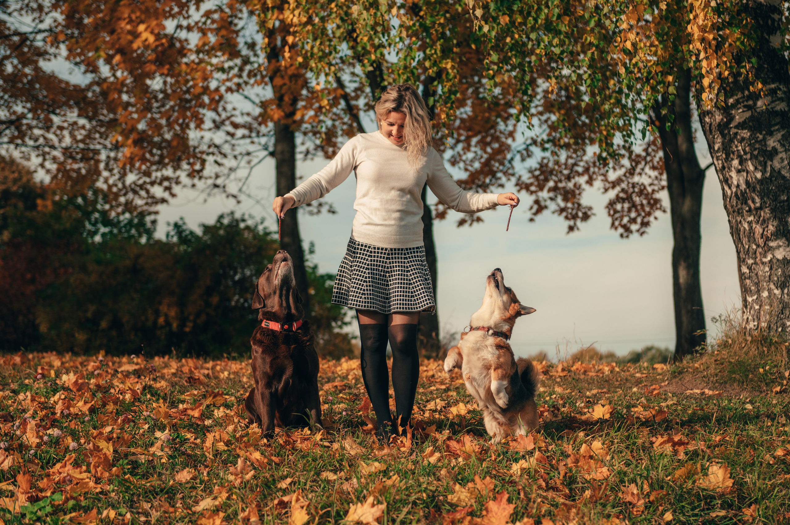 Все краски осени. Свадебный и семейный фотограф София Невская
