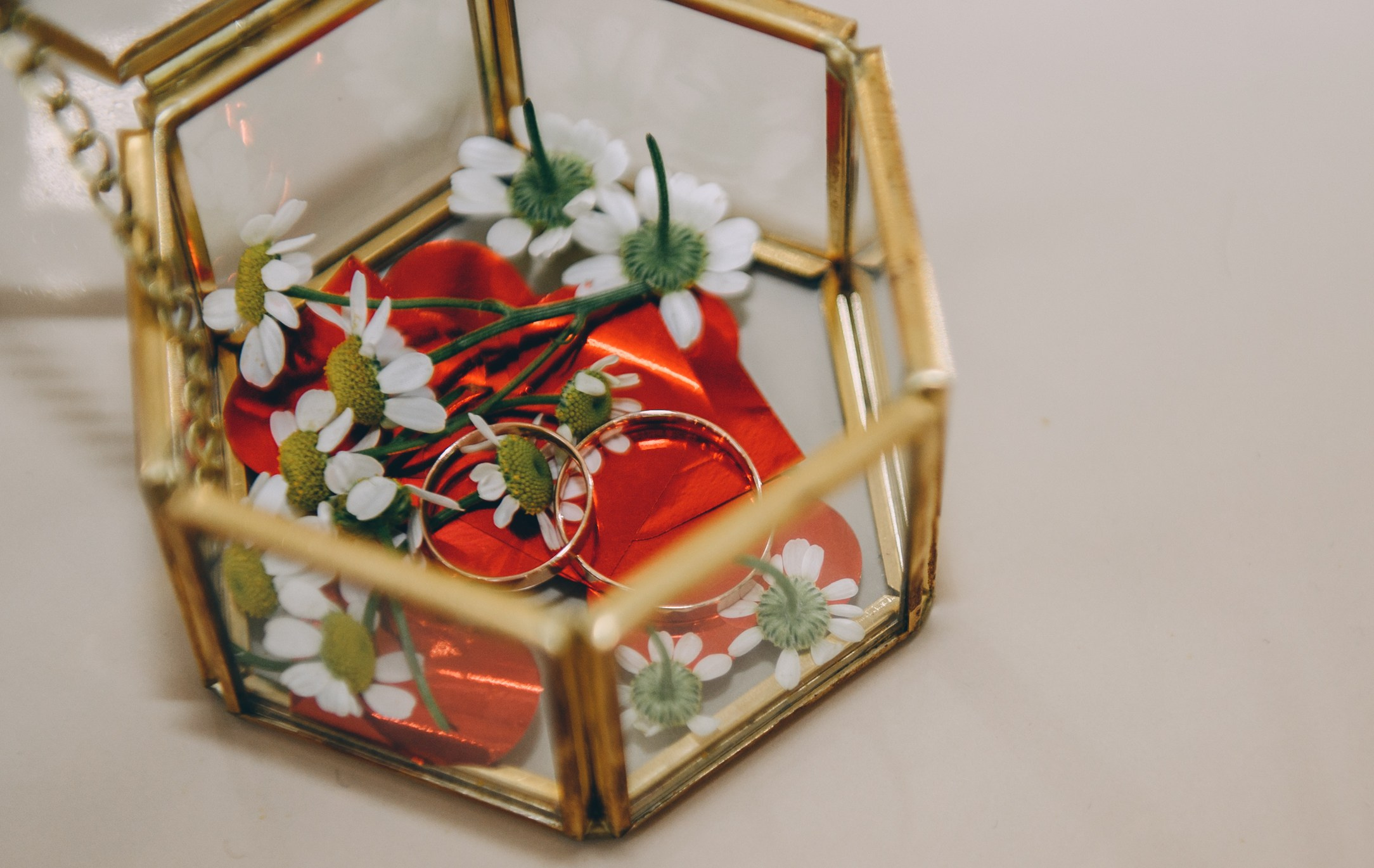 Адлер, море, Мандарин. Свадебный и семейный фотограф София Невская