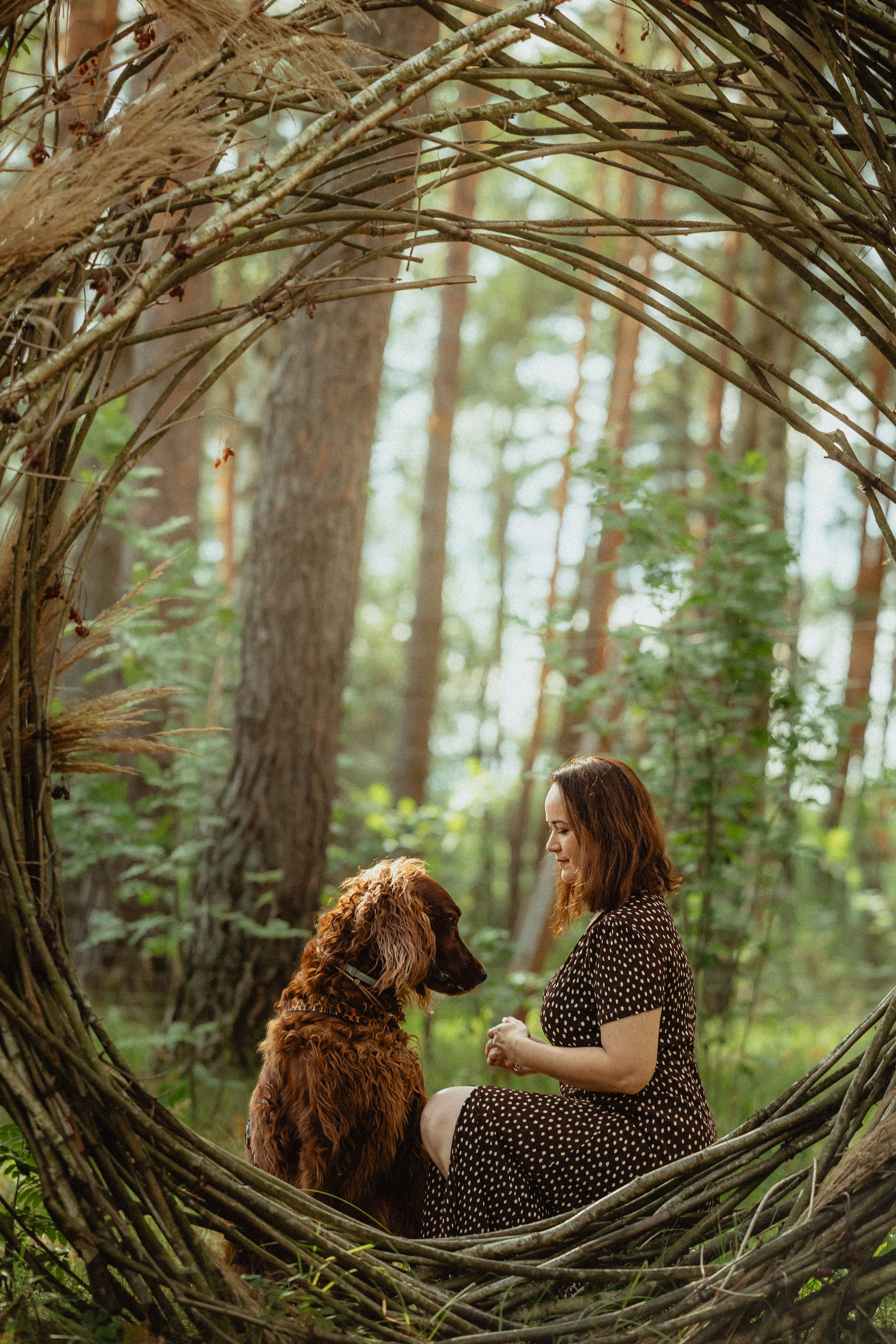 Выездной дог-тренинг от школы «Шерсть имею»