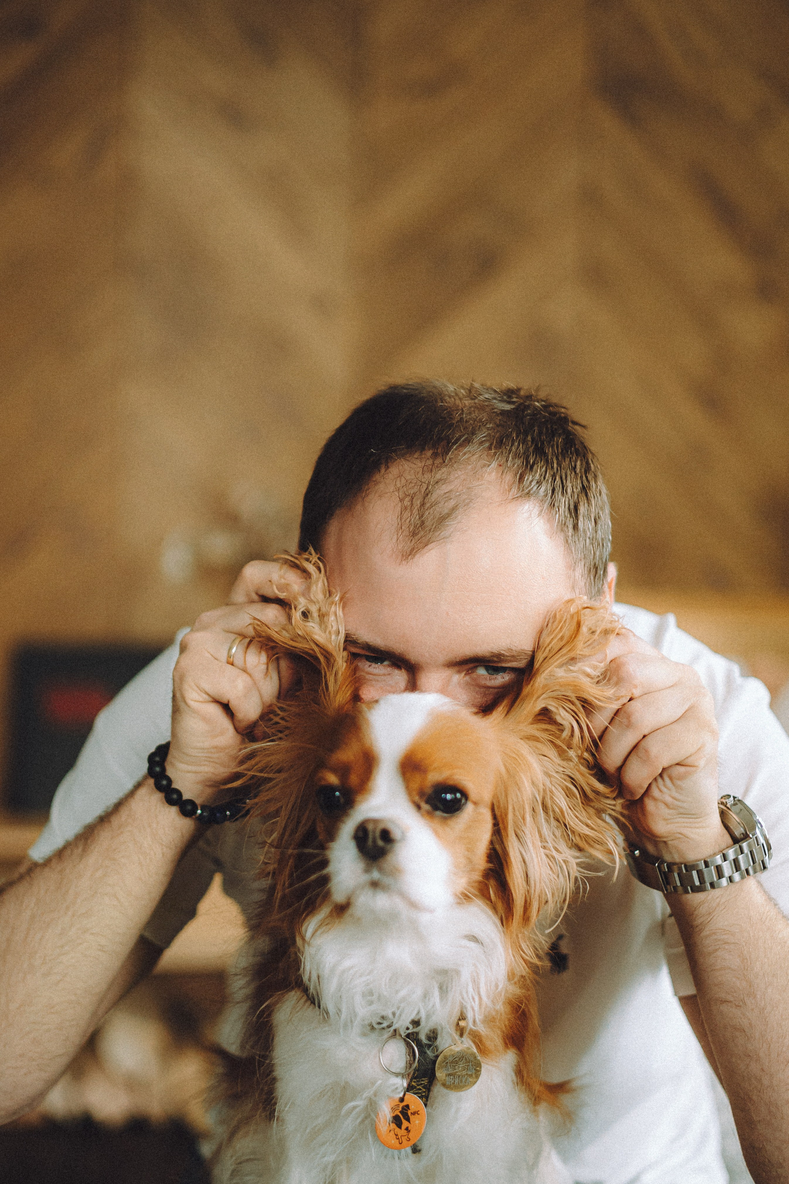 Валя, Вася, Аня и Ириска