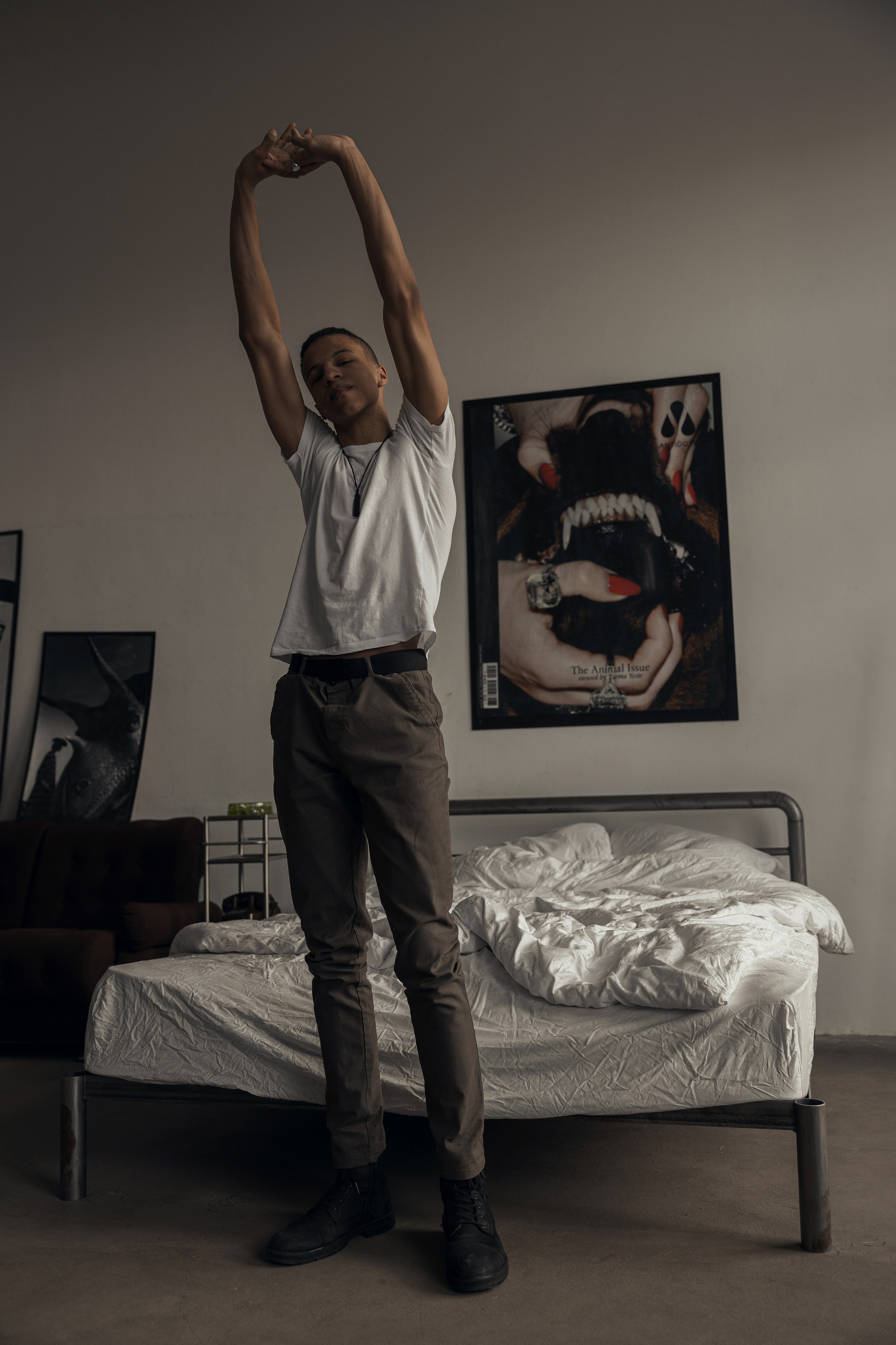 Модель Алекс