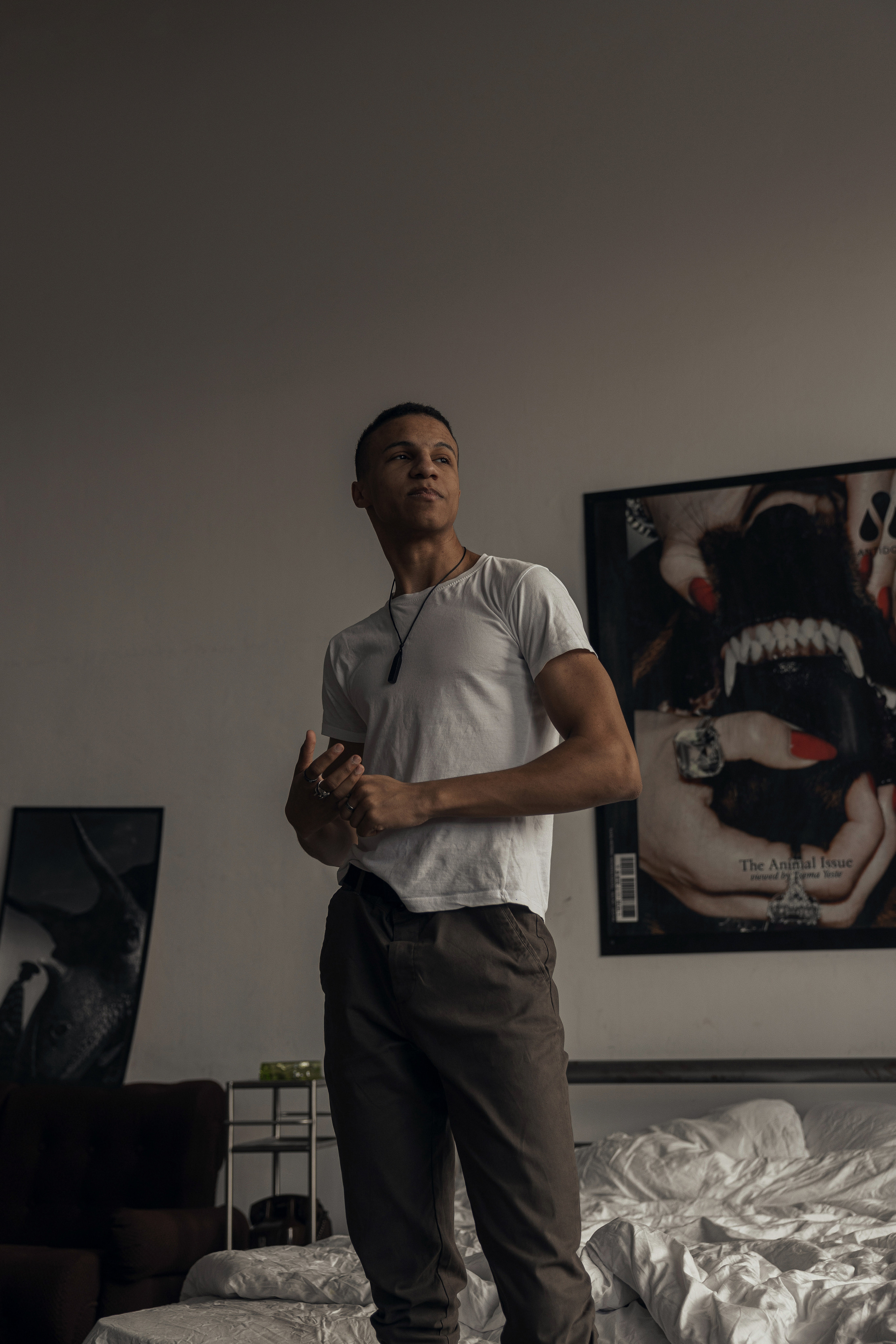 Модель Алекс