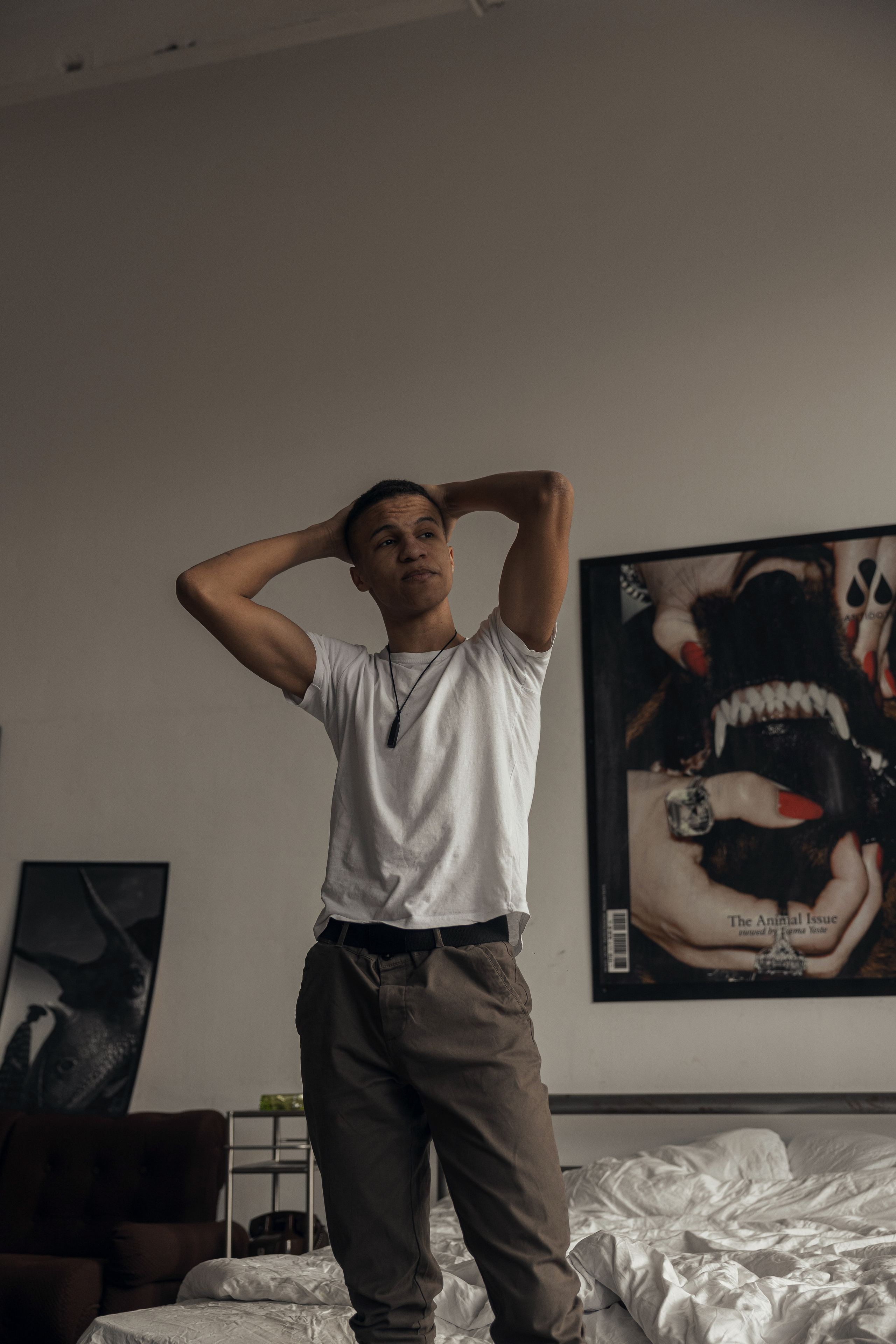 Модель Алекс