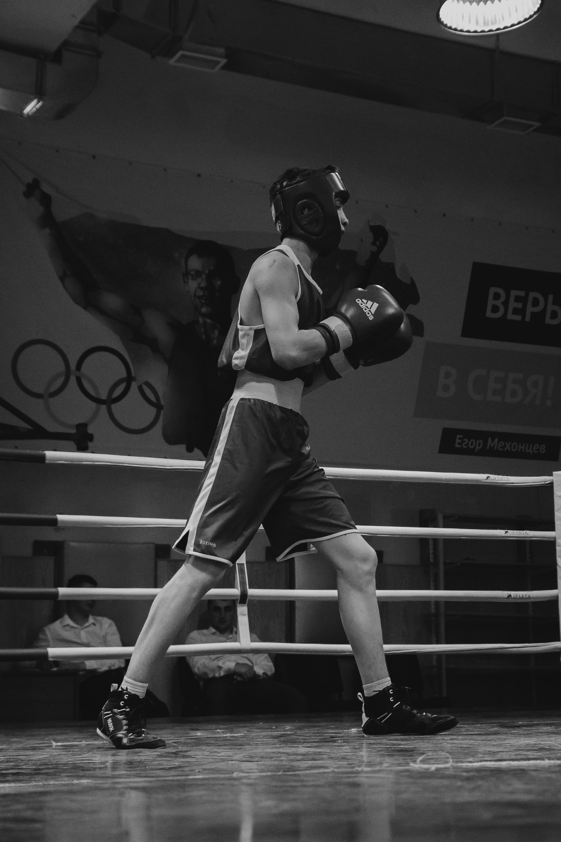 Бокс — РЗН — 26.04.2025. Фотограф в Рязани — Кузнецов Михаил