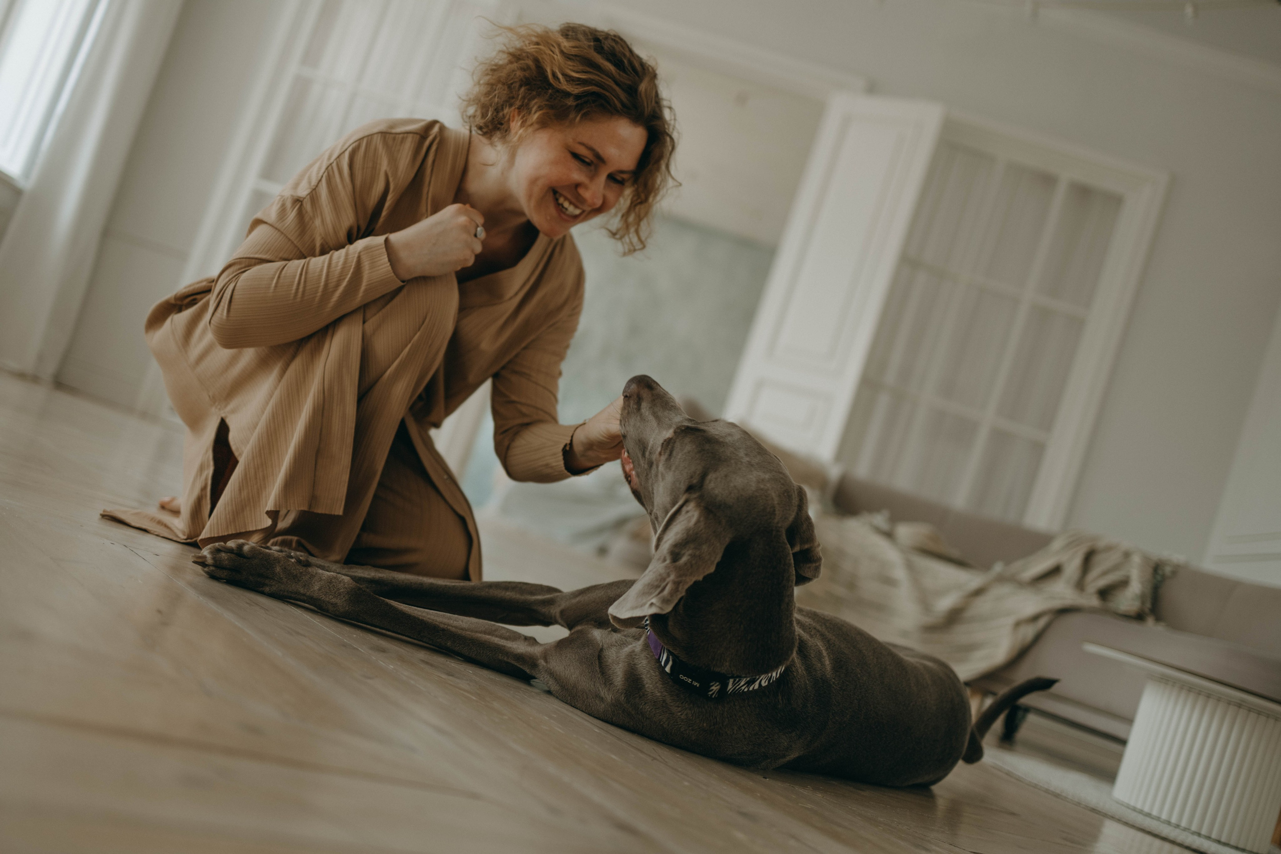 Фотосессия в студии с собакой. Фотограф-анималист в Екатеринбурге | Кристина