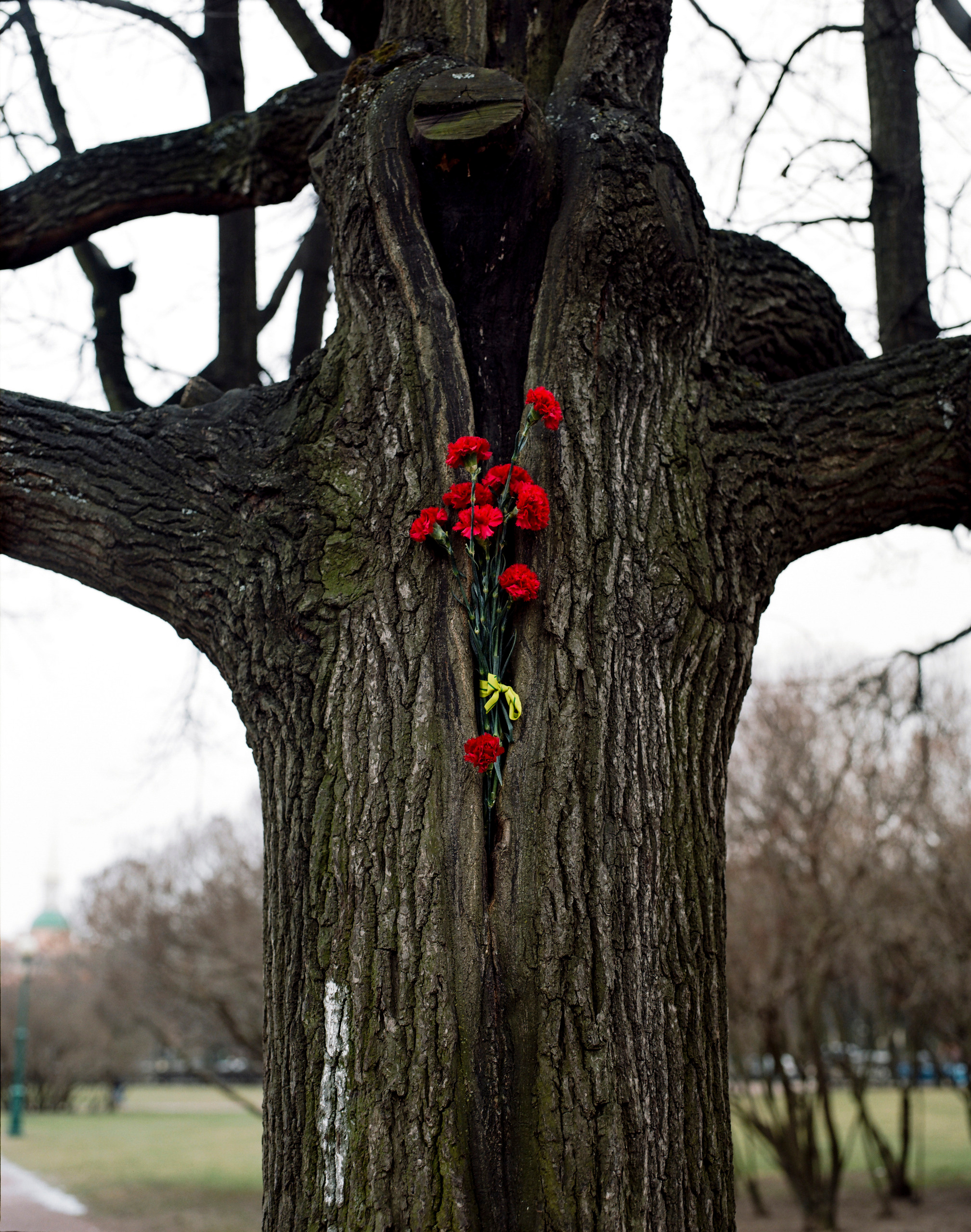 Reconstruction. Valerii Konkov