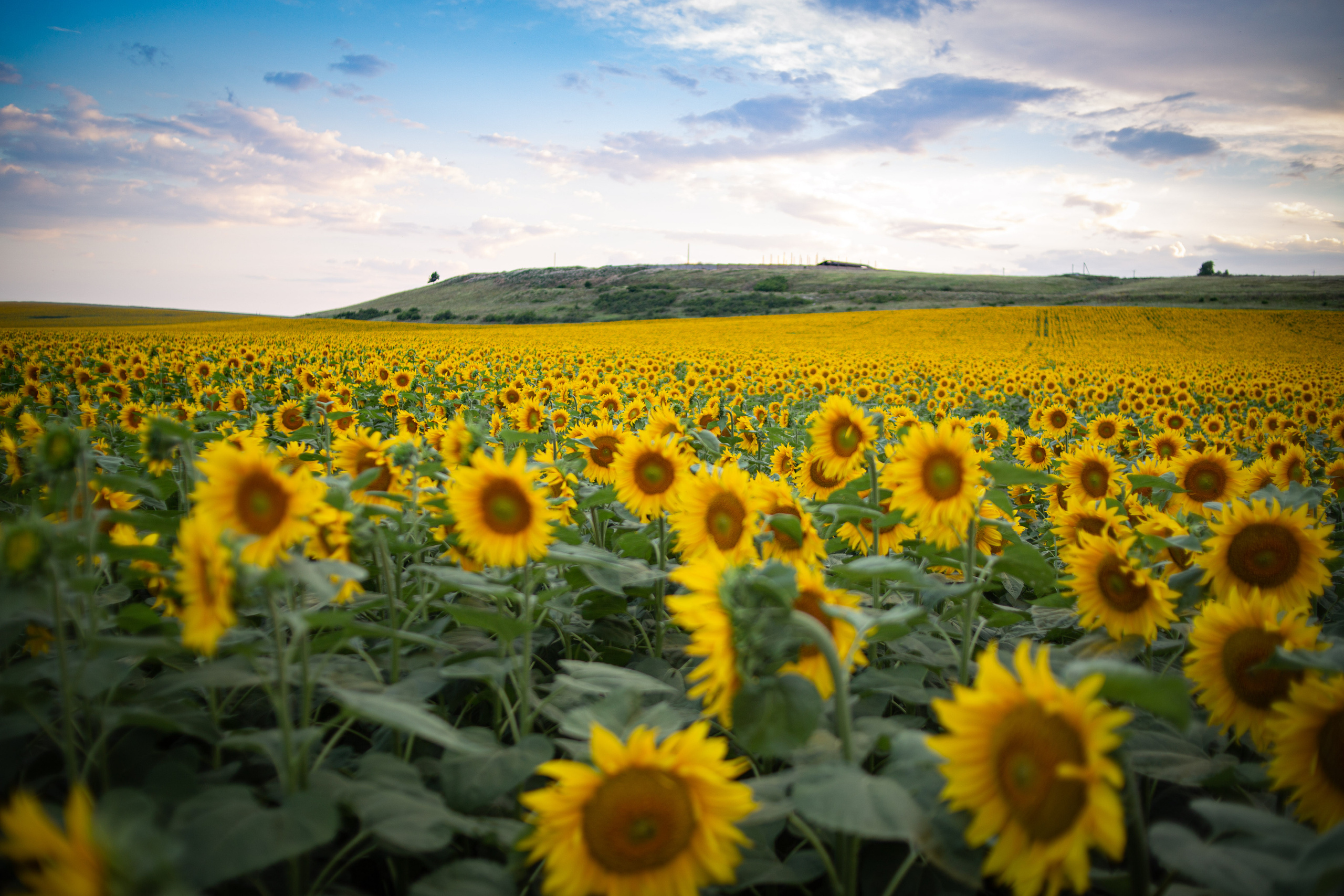 Юлия Трубанова, репортаж Симферополь, Крым