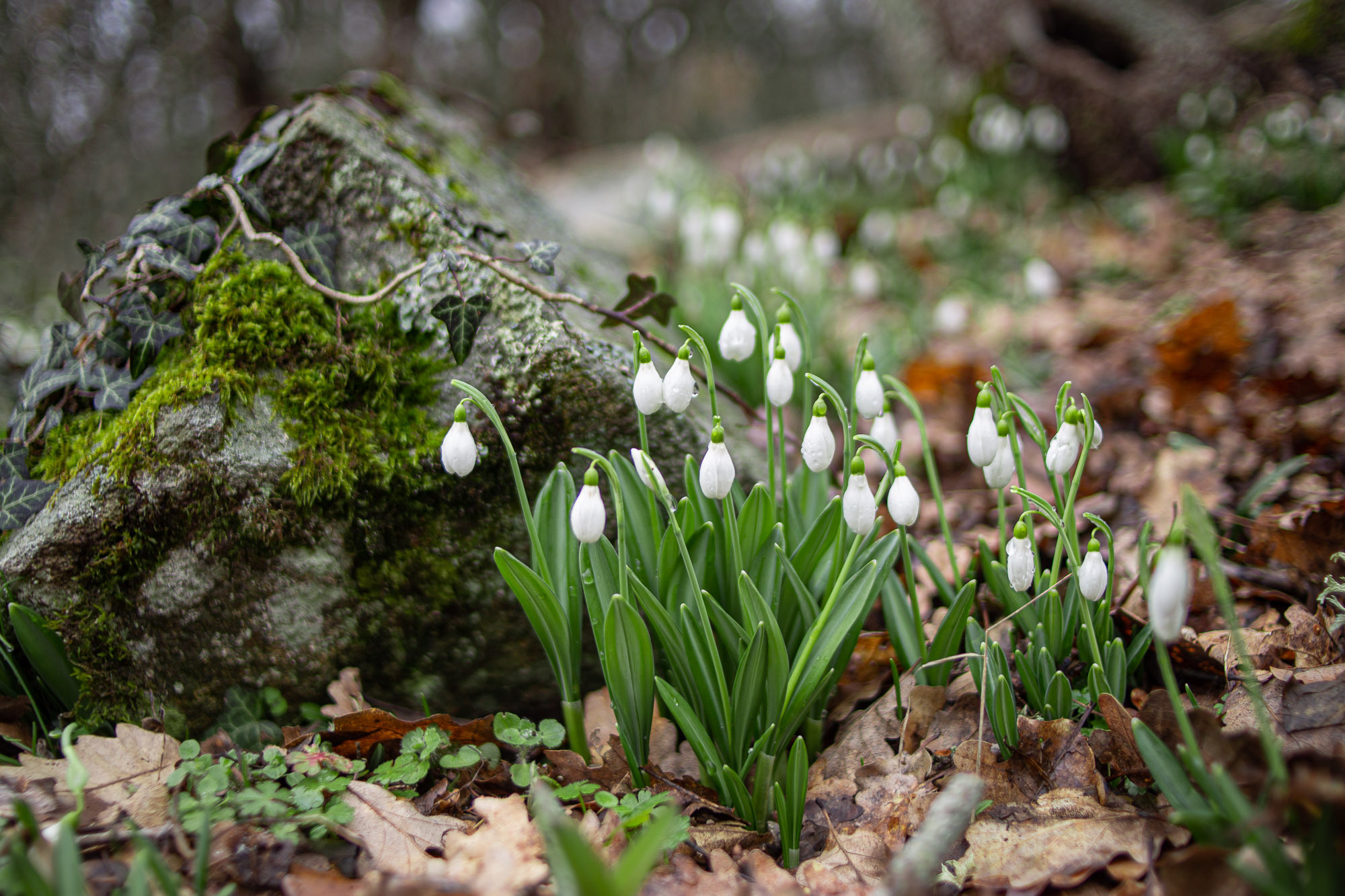 Юлия Трубанова, репортаж Симферополь, Крым