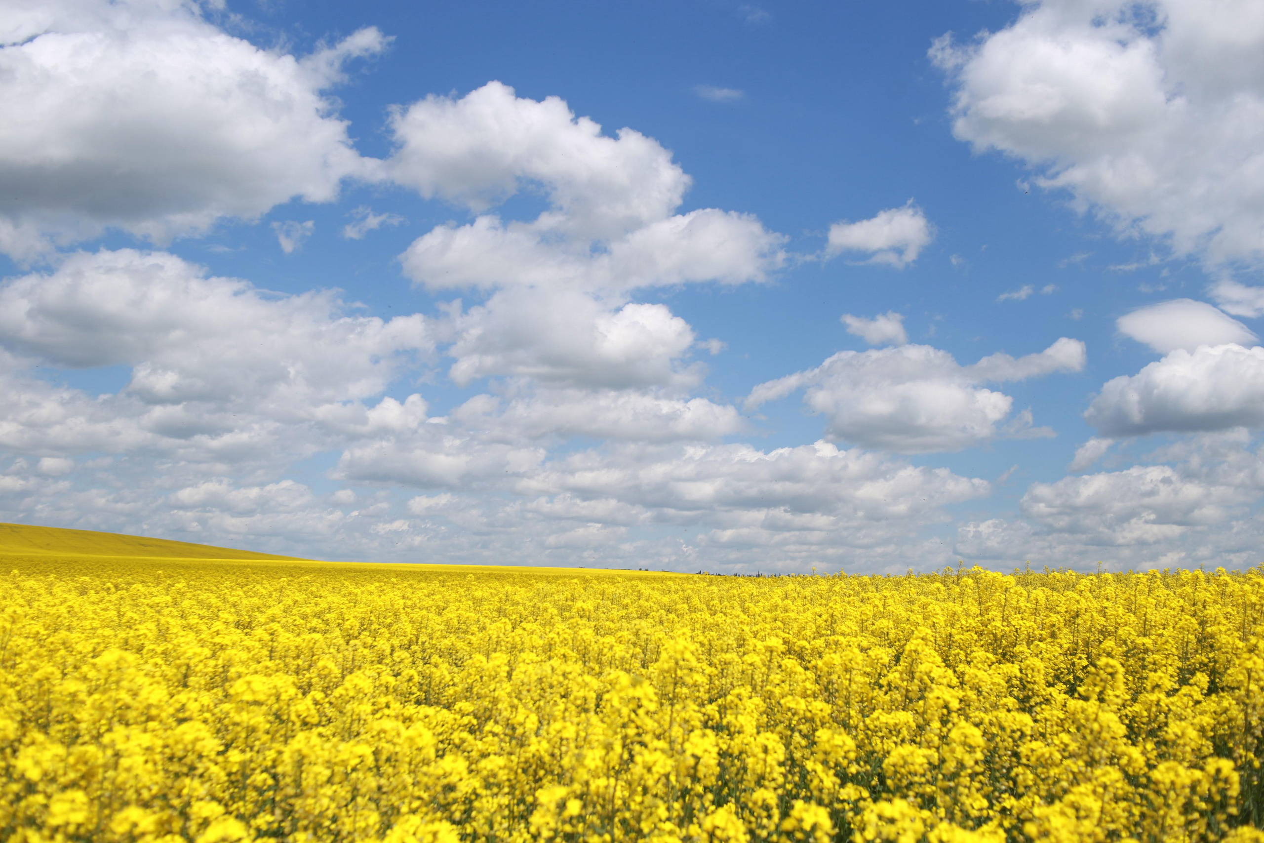Юлия Трубанова, репортаж Симферополь, Крым