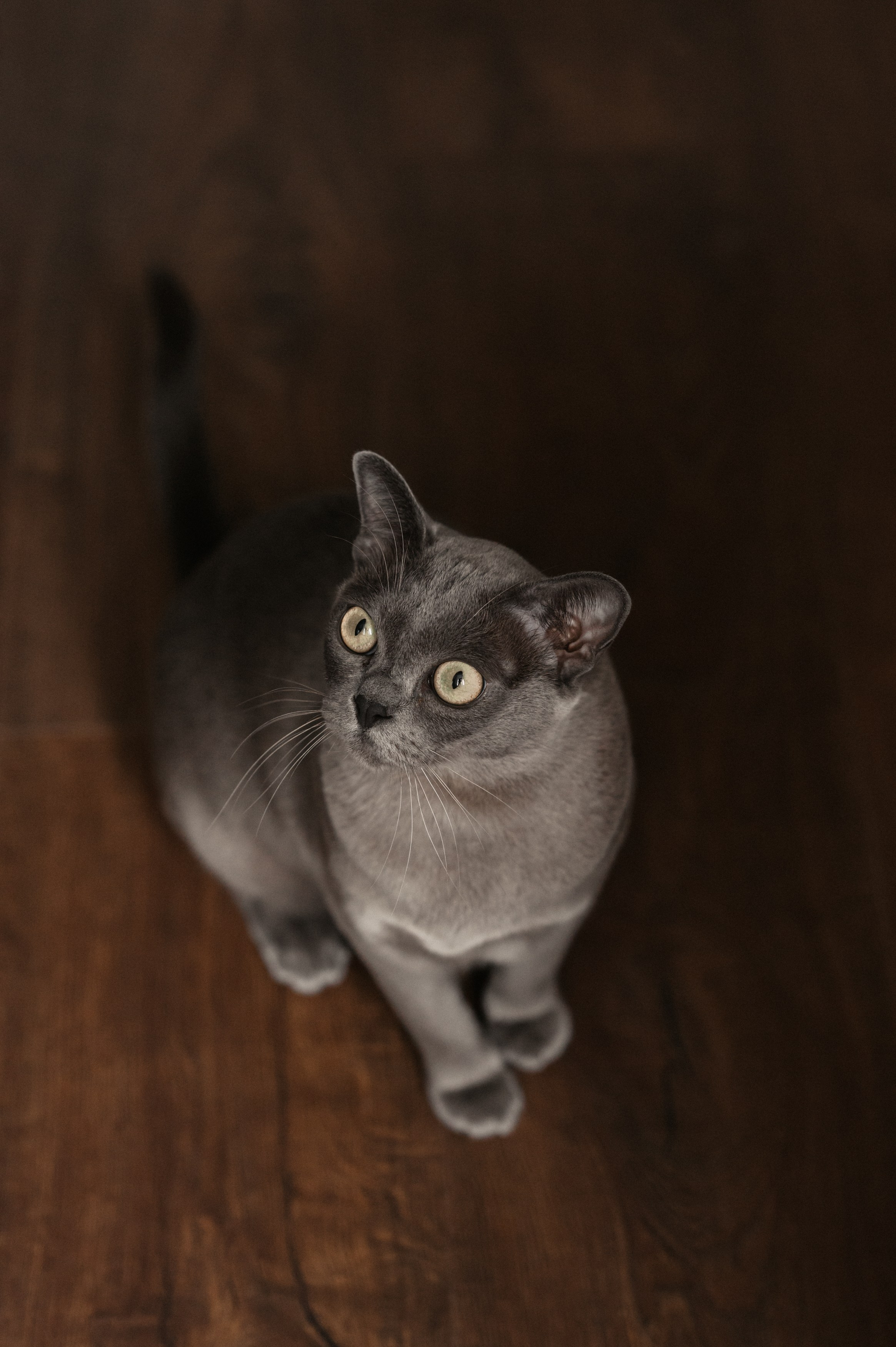 Дома. Фотограф Ким Ангелина