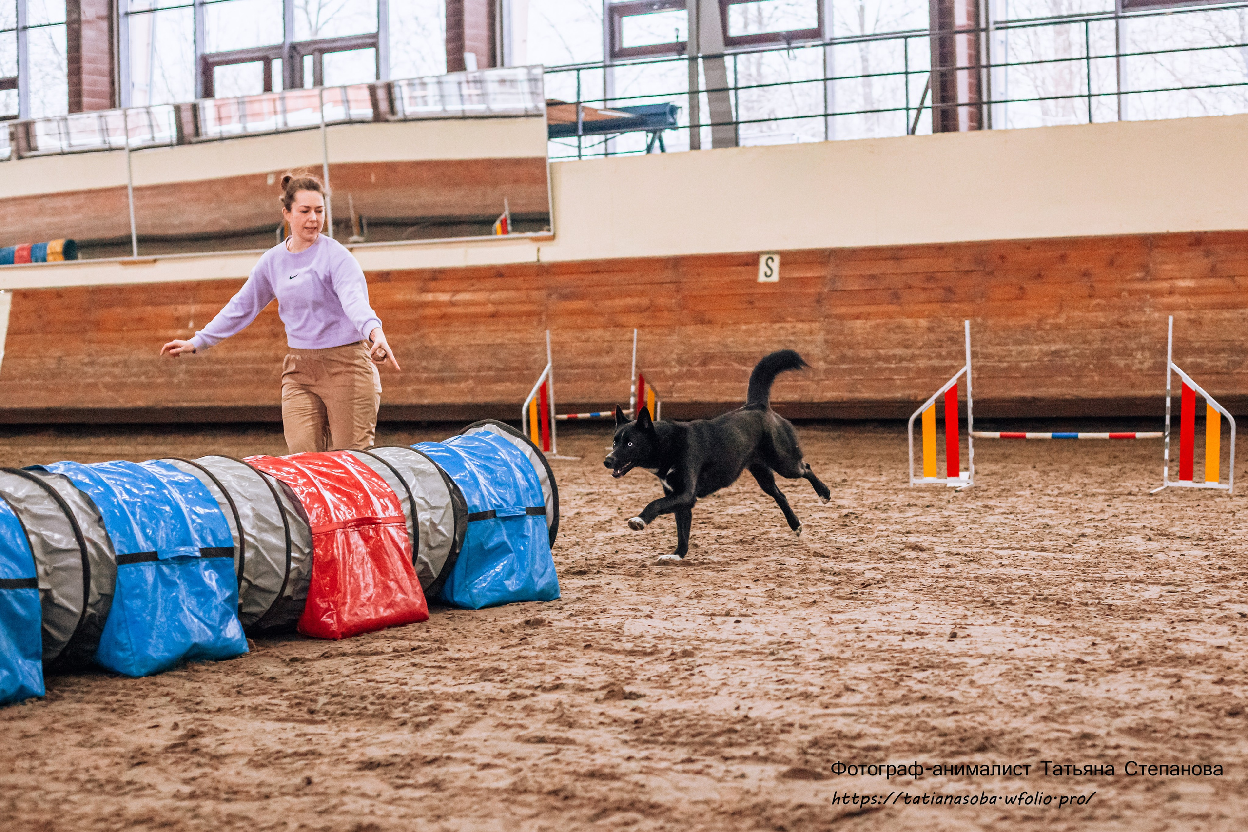 Соревнования по Аджилити 25.02.2024. Фотограф-анималист Татьяна Степанова
