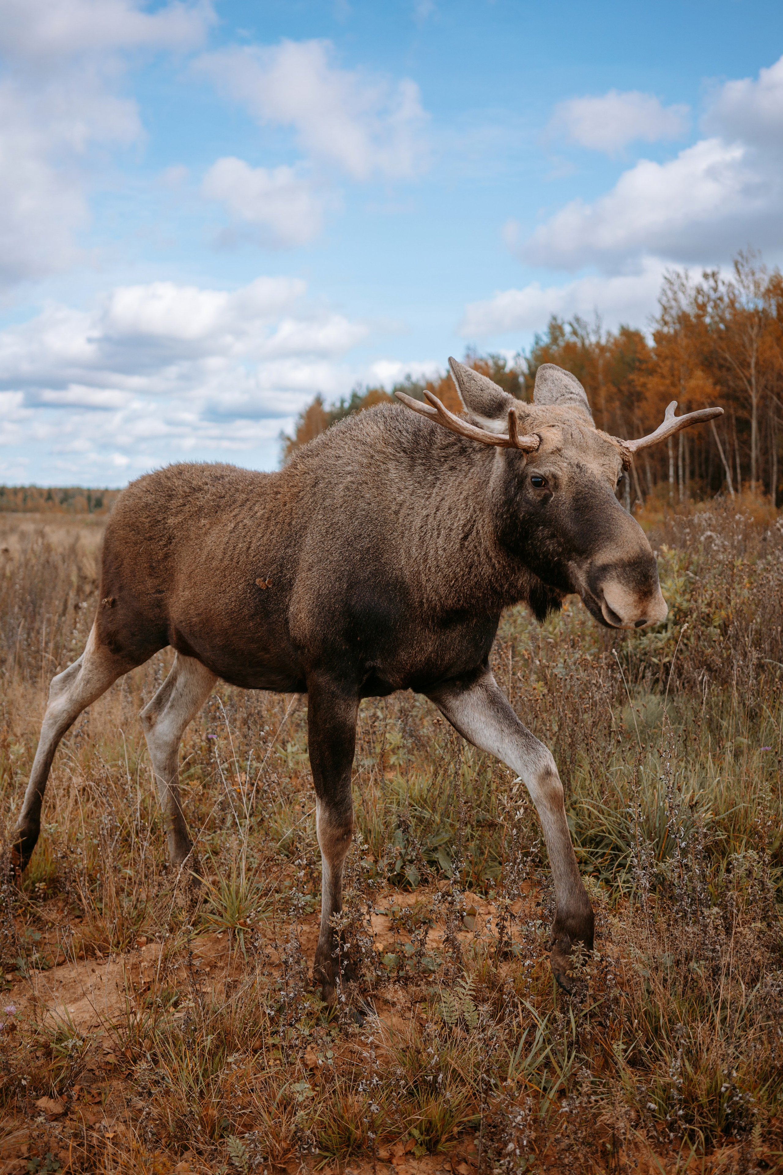 Художественные. Главная