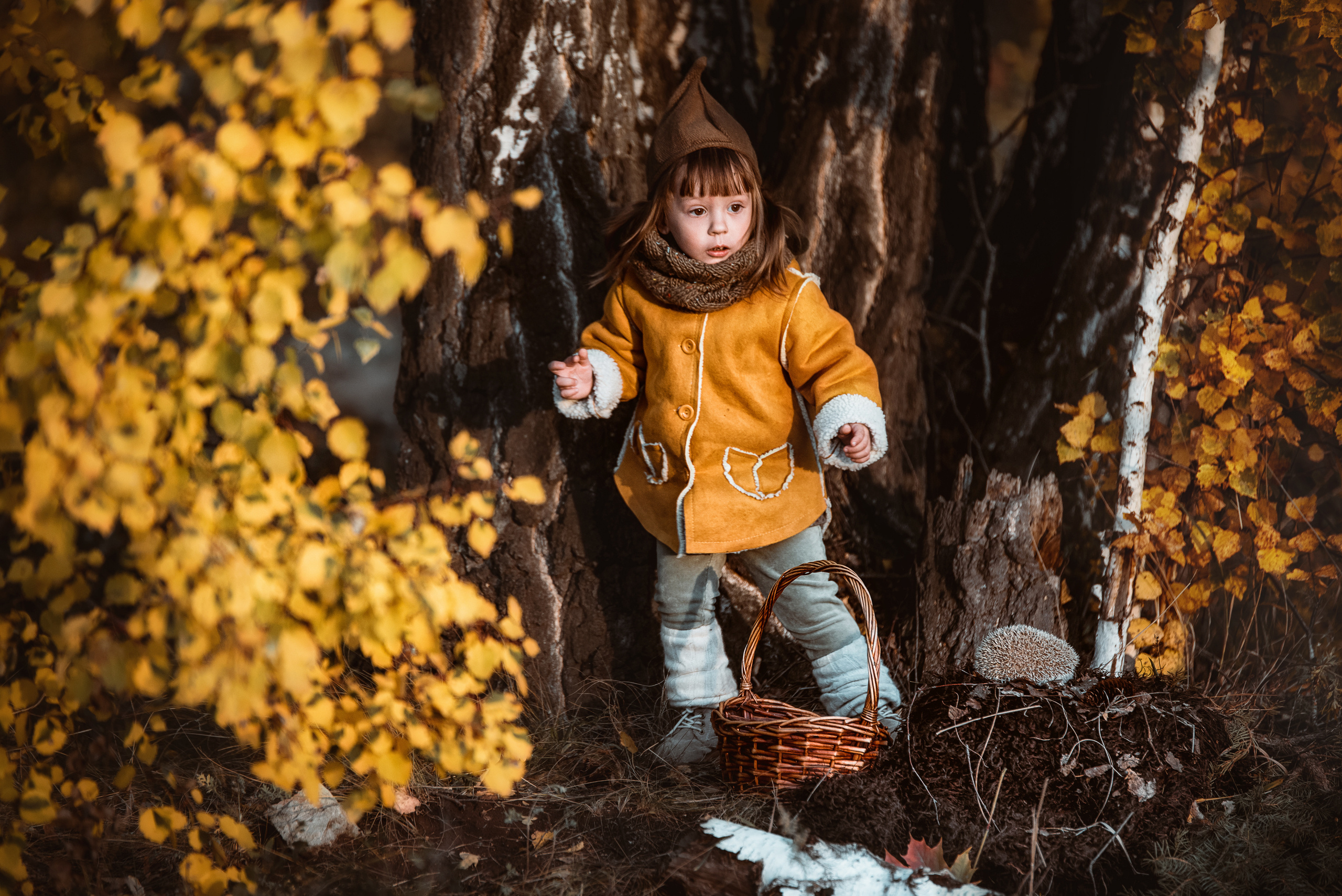 Family. Wedding and family photographer USA