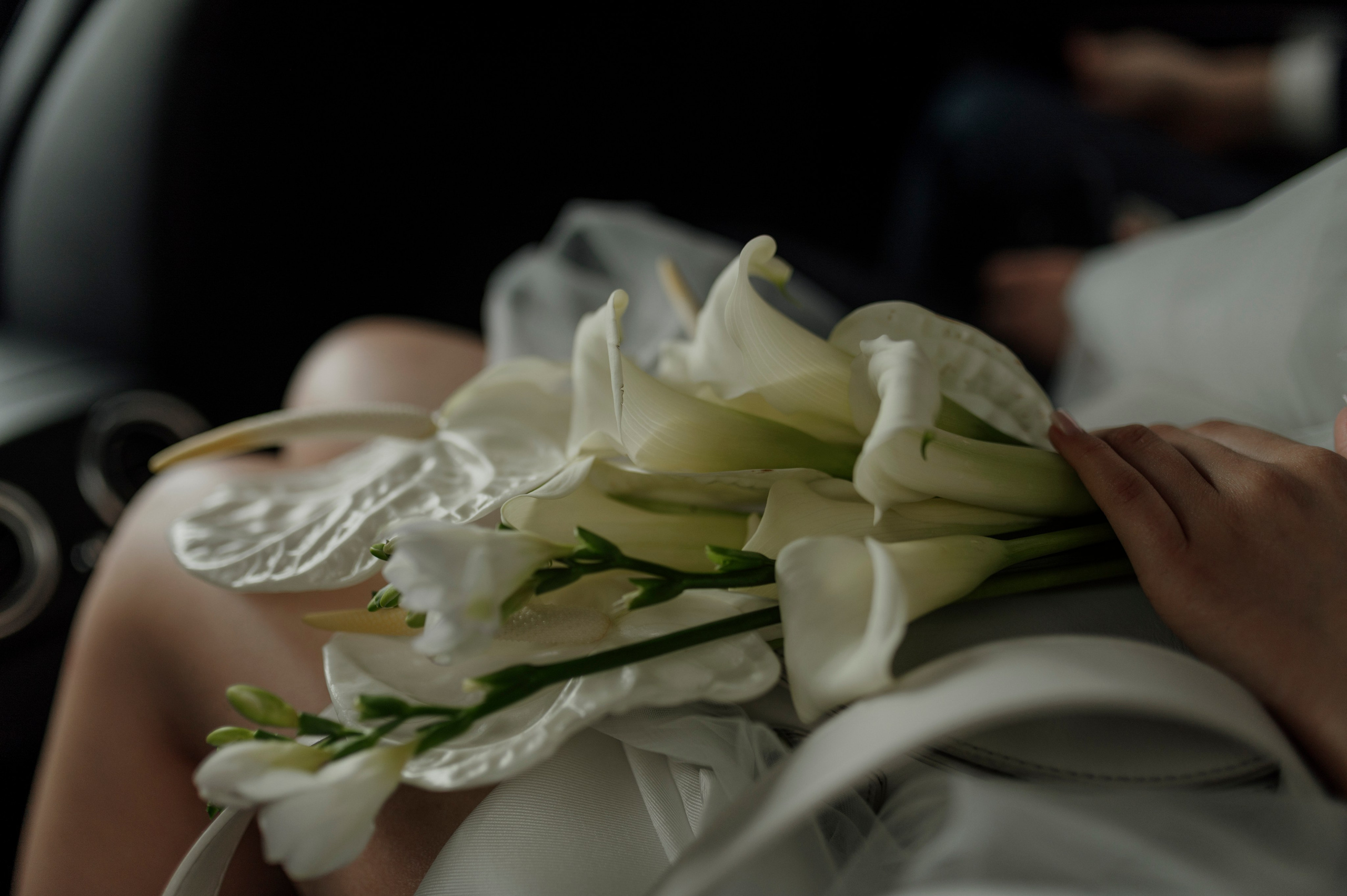 Артем и Настя. Свадебный и Семейный фотограф в Ярославле Алёна Колясникова