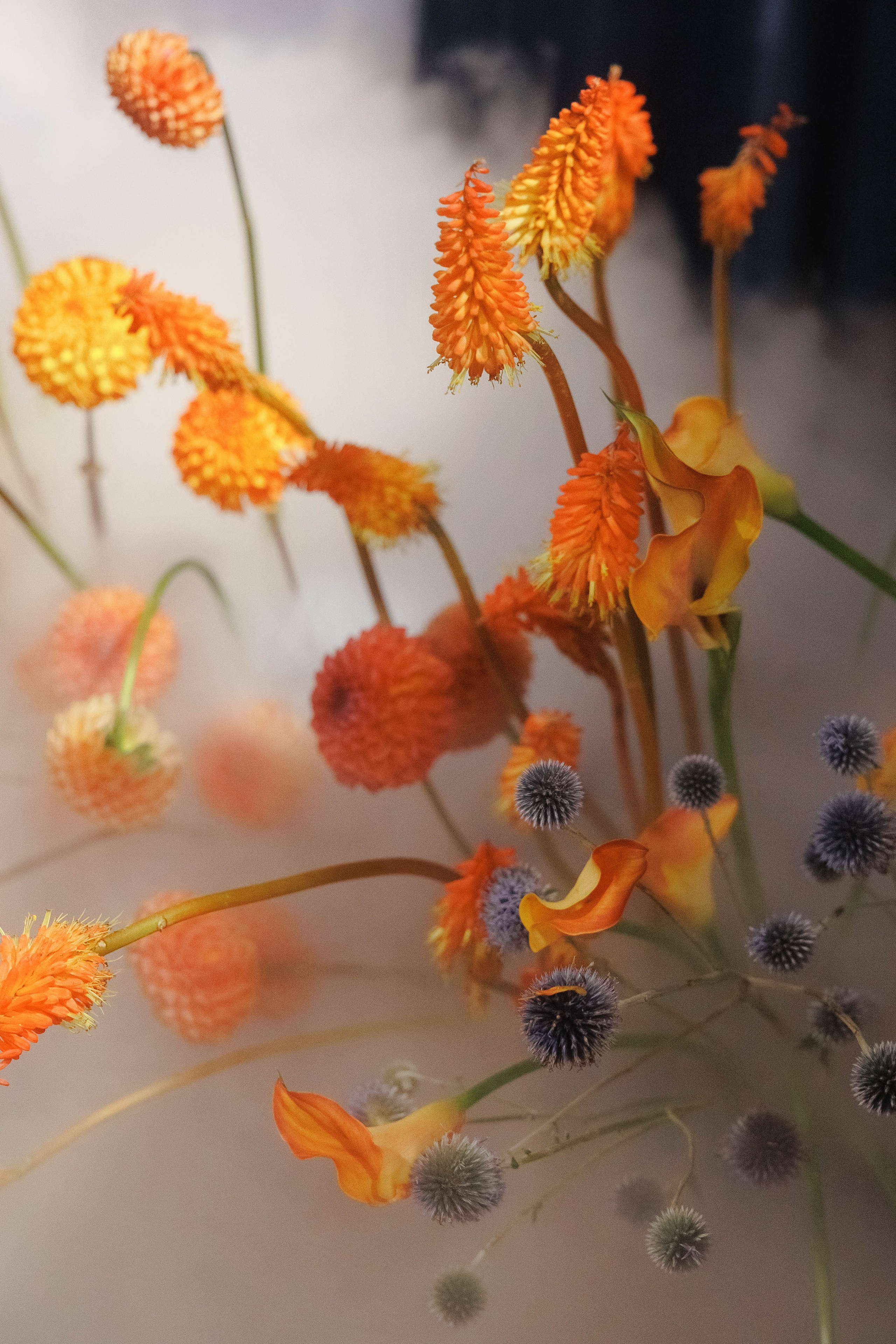 Яна и Павел. Свадебный фотограф в Нижнем Новгороде и Москве Николай Майоров