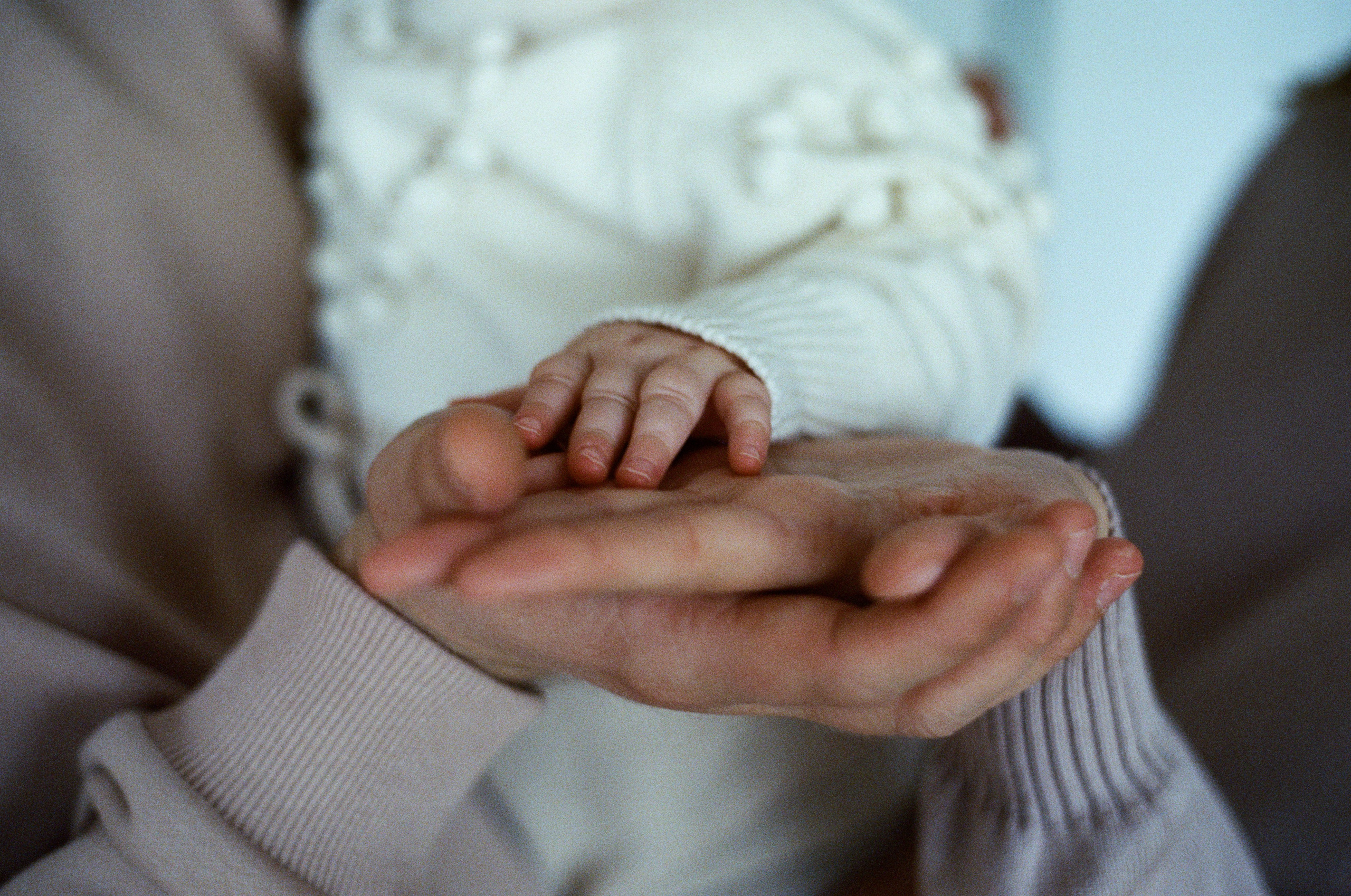 Алексей, Екатерина и Ася. Перед Новым годом. Цифра и плёнка. Настя Оленченко, портретный/семейный фотограф на цифру и плёнку Москва