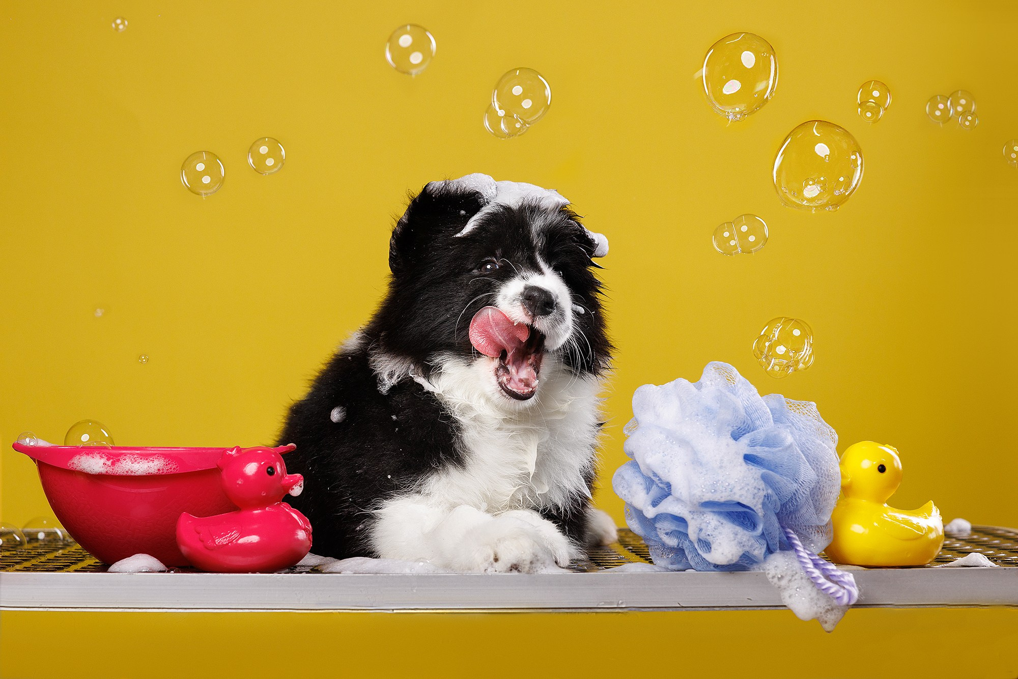 На водной основе. О нас