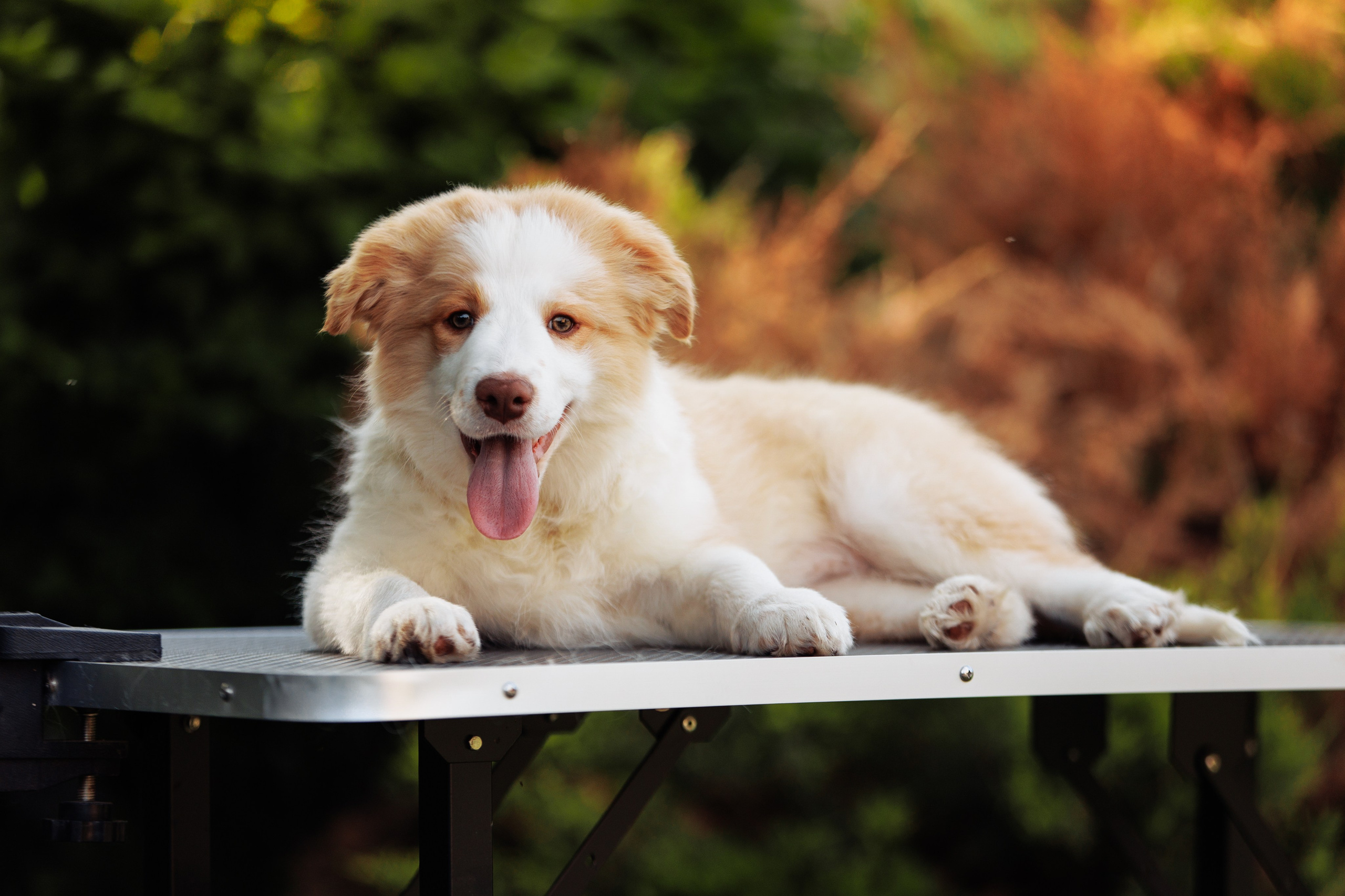 СОлнечные. О нас