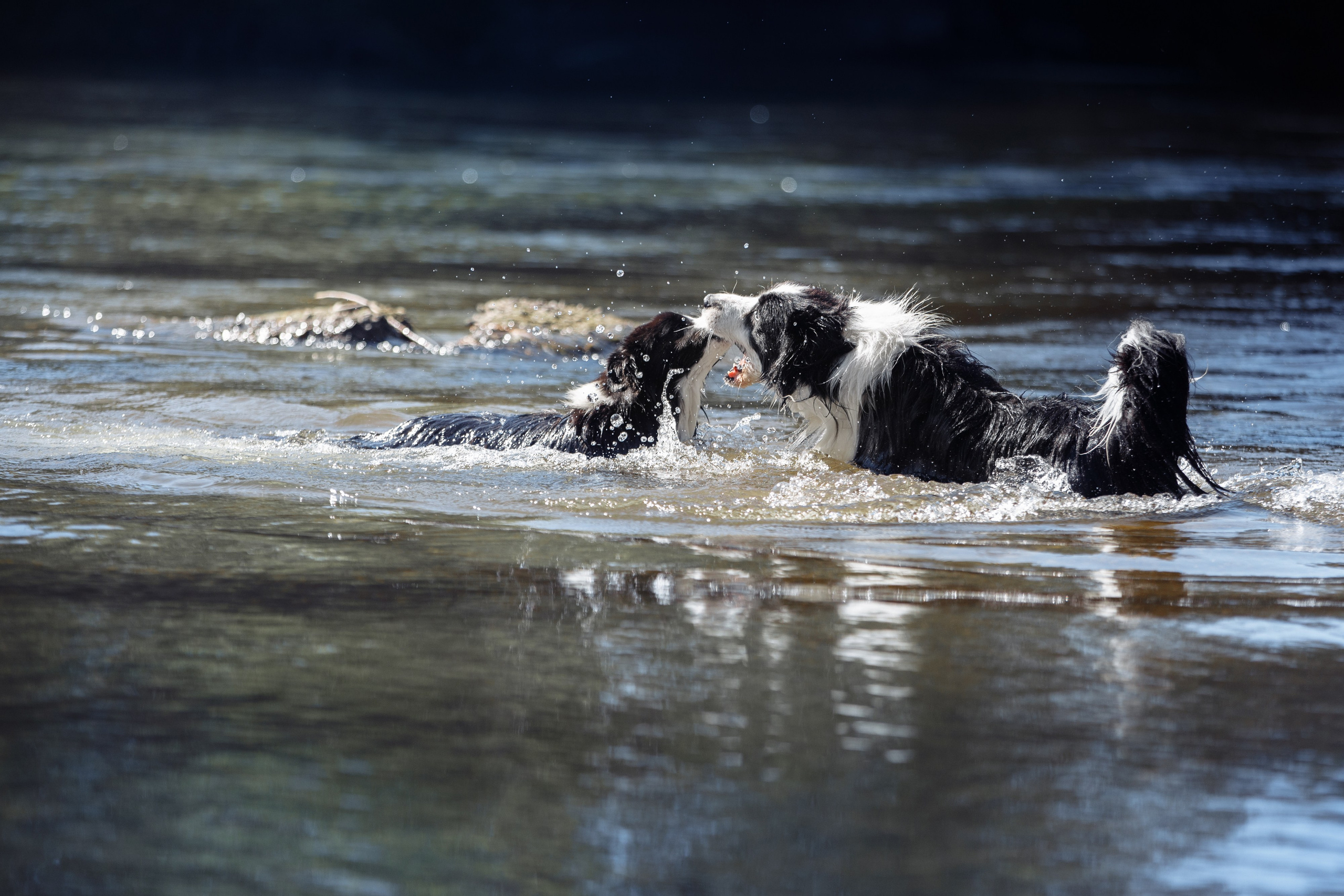Водяные в Новотроицке. О нас