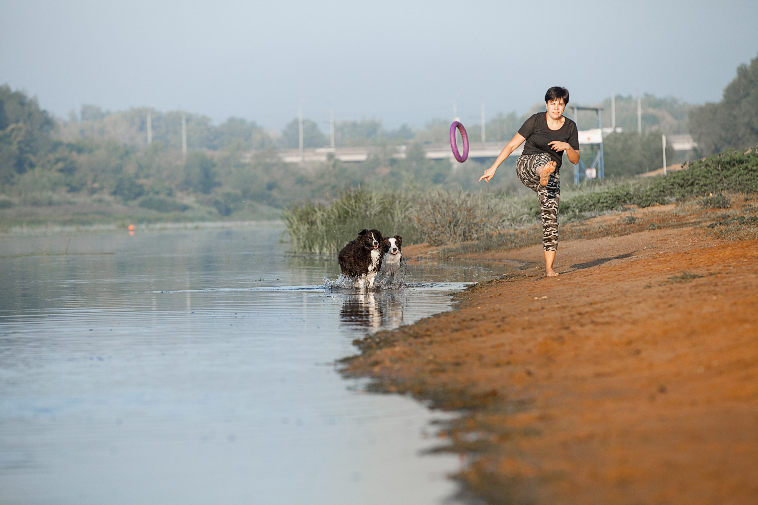 Сочный рассвет, на который решились. О нас