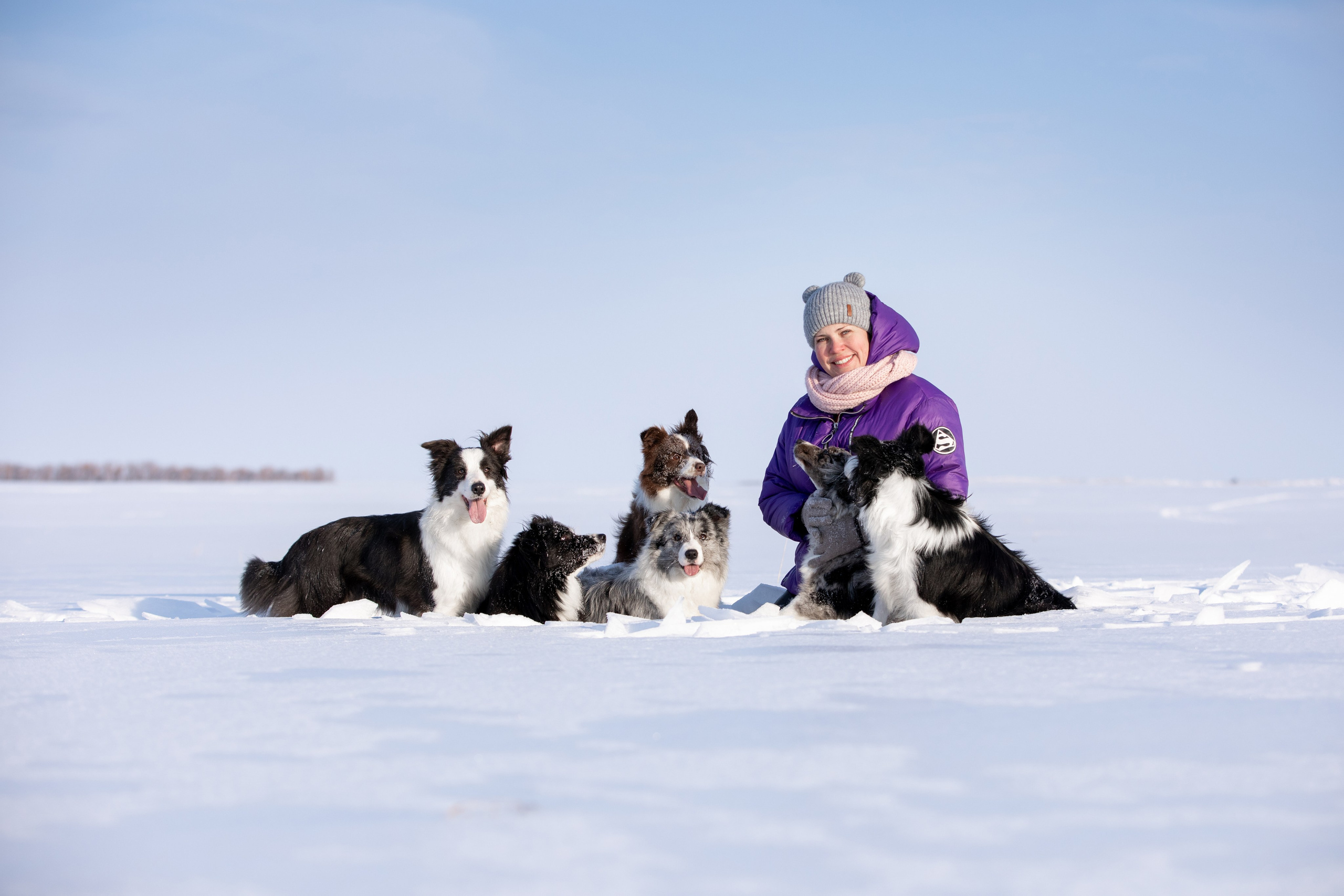 Мороз и солнце. О нас