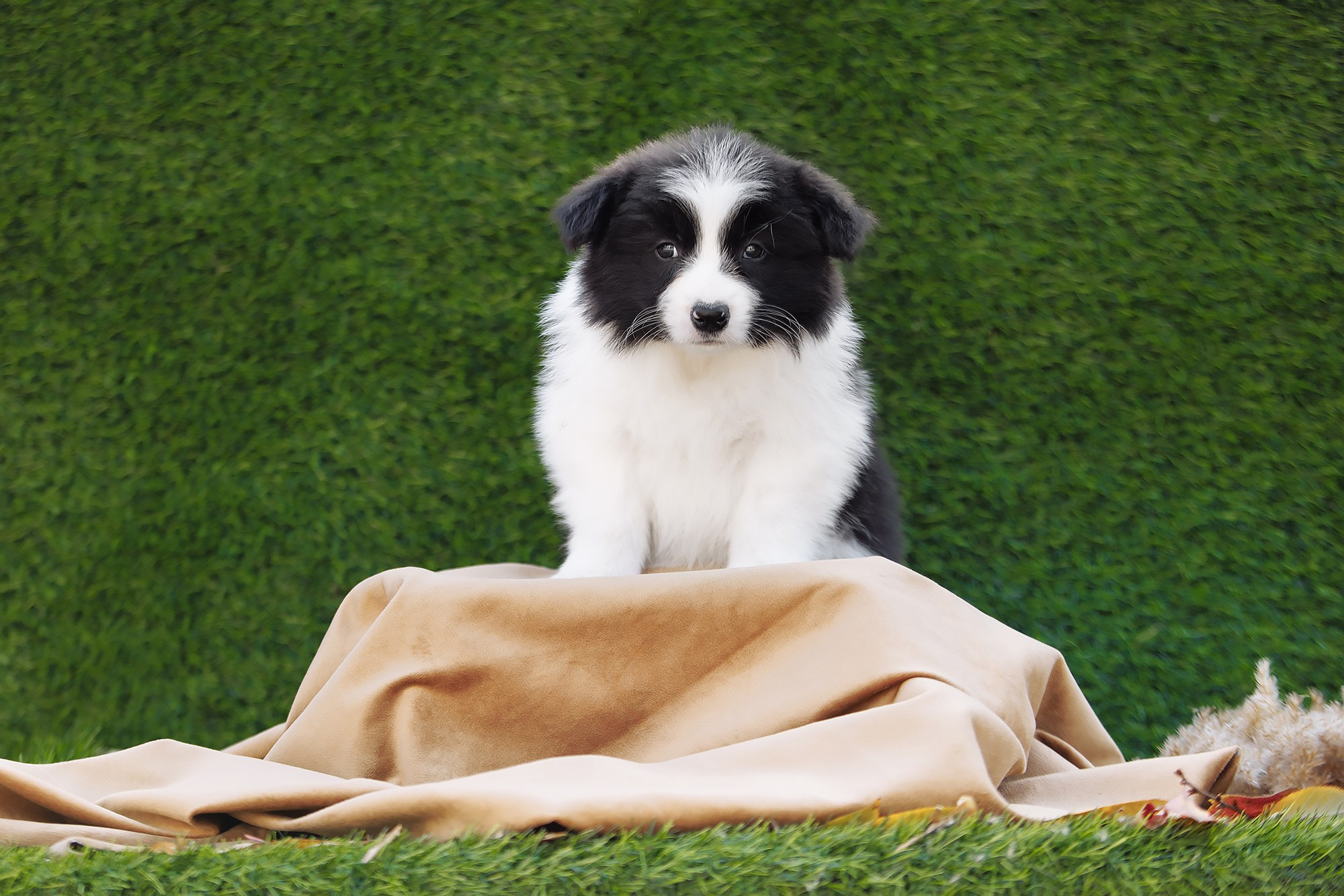 Новый лист. О нас