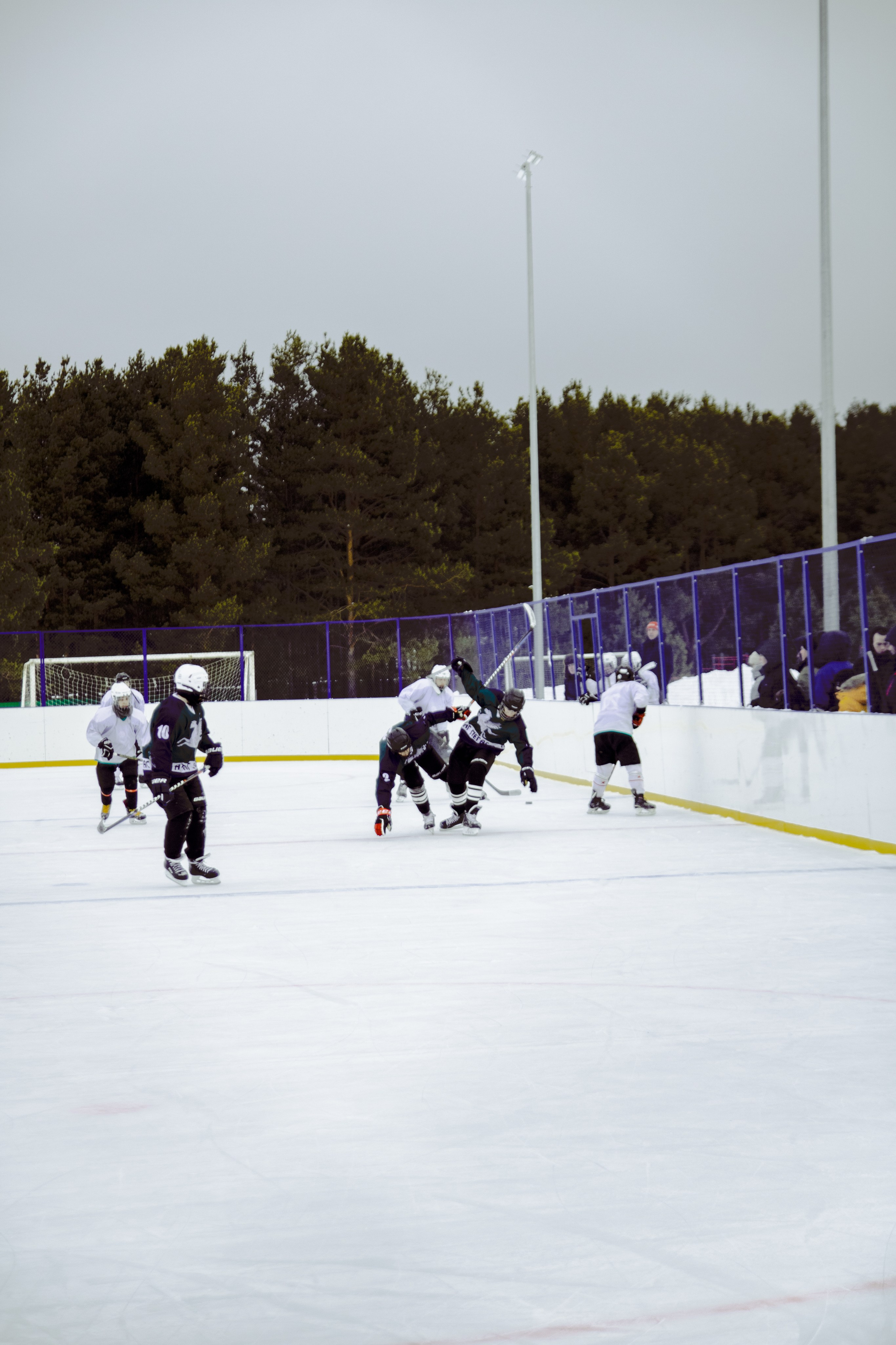 Хоккей 29.12.2024