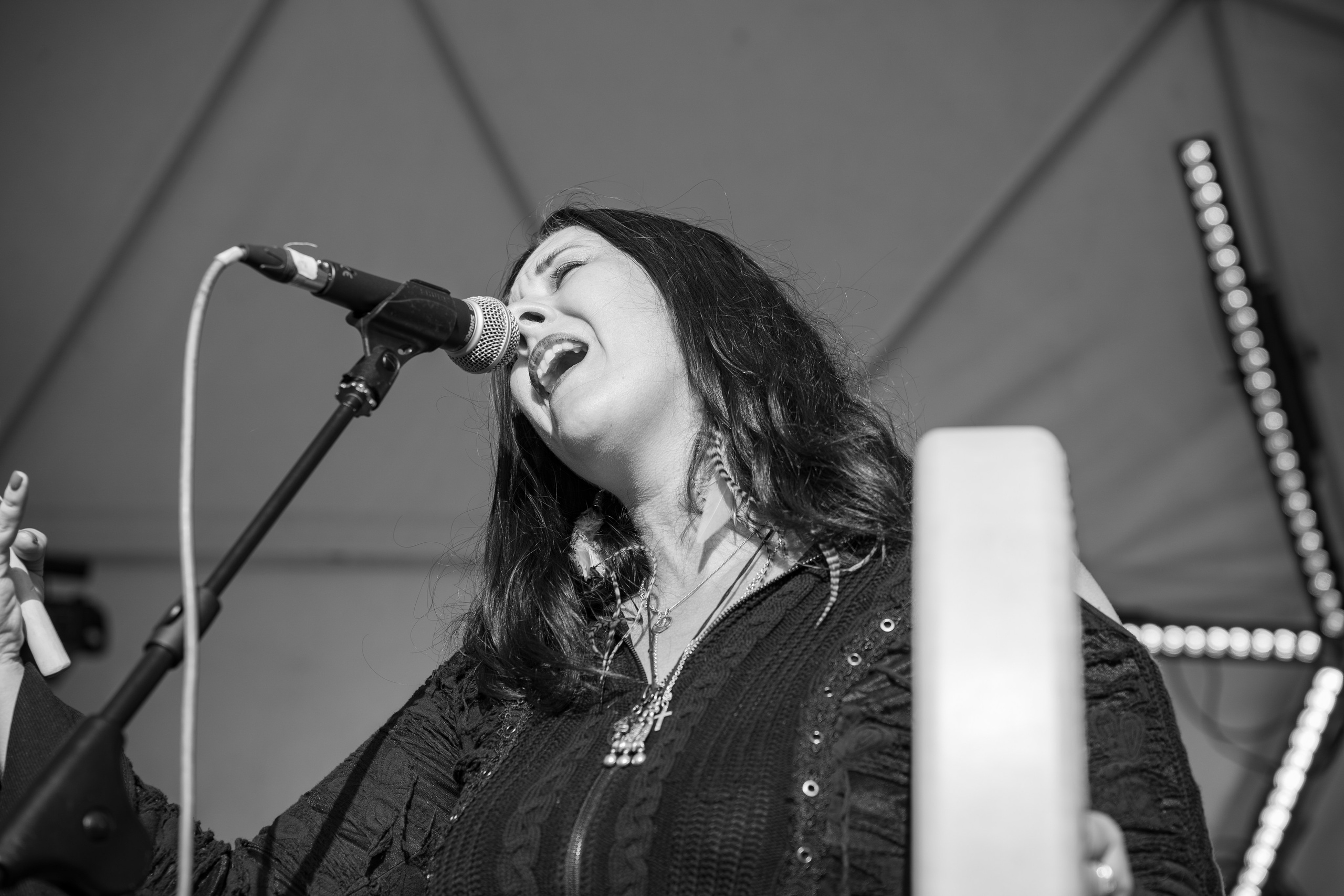 Фестиваль «Жива"|Карелия. Концертный и репортажный фотограф в Санкт-Петербурге Слава Пахомов