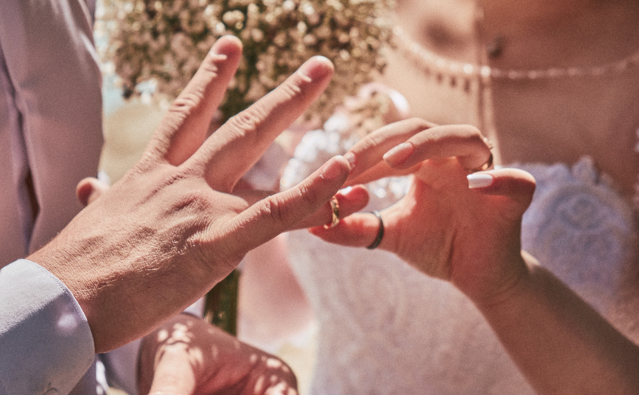 Свадьбы. Фотосъемка свадеб и семейных фотосессий в Республике Алтай