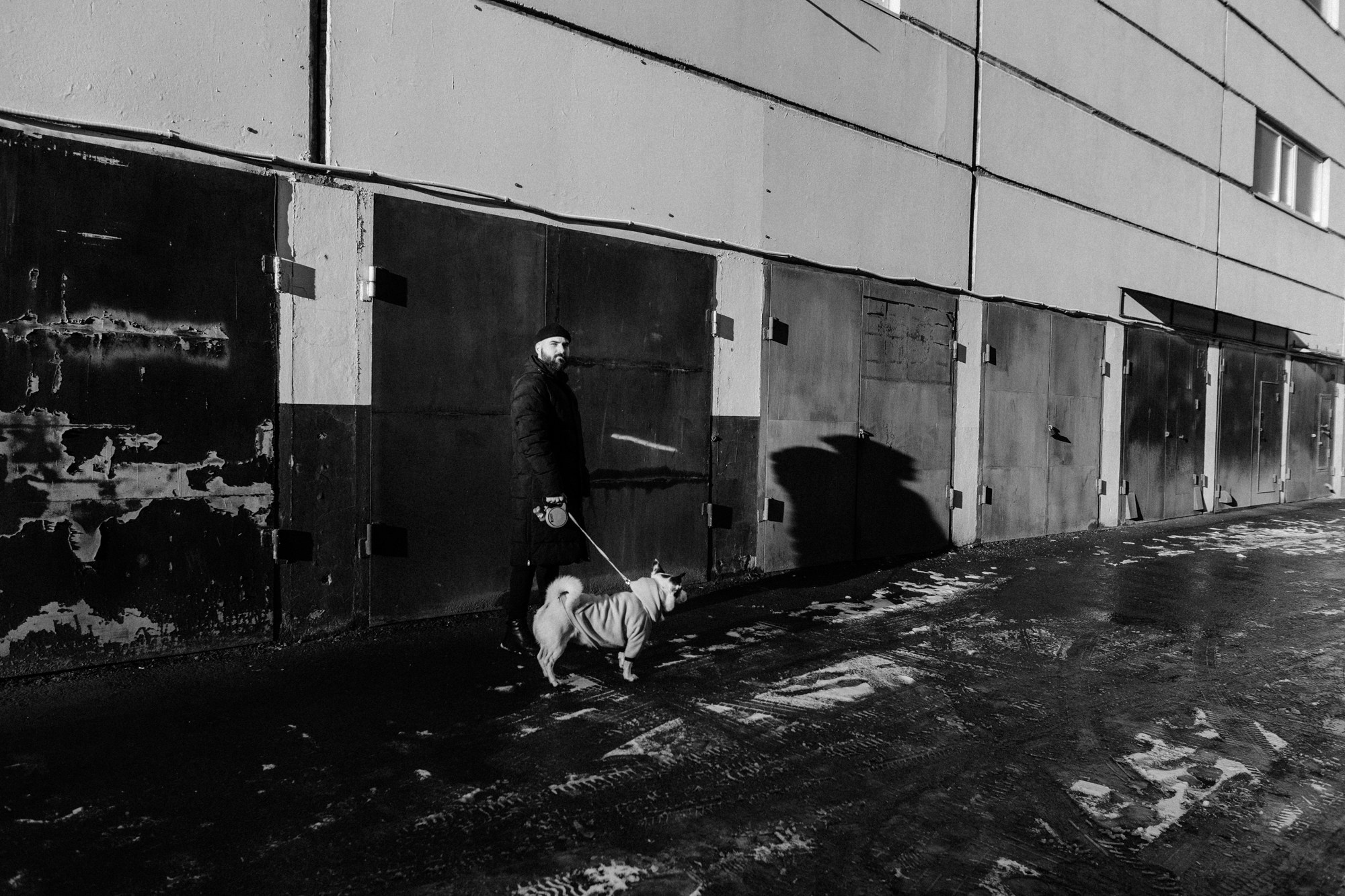 Фотосессия с собакой в Тюмени, фотограф тюмень. Фотограф Дарья Мустафина, Тюмень