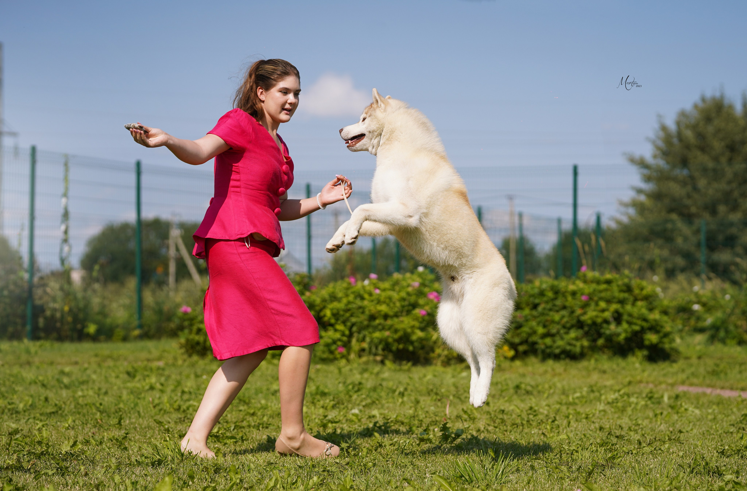 Выставки 2023. Фотограф-анималист в Санкт-Петербурге Яна Мартынова
