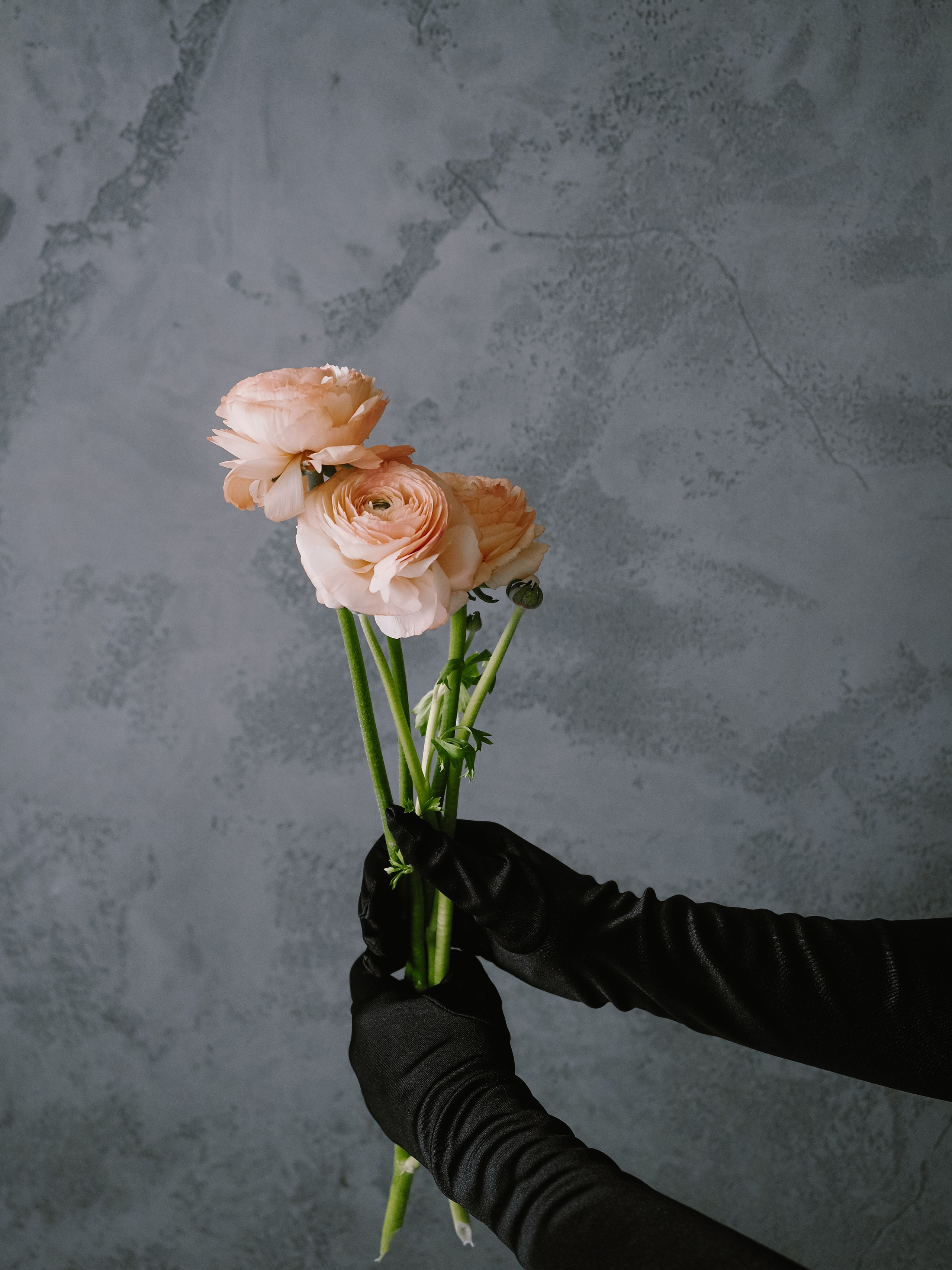 Анастасия. Фотограф Рязань. Семейный Свадебный фотограф