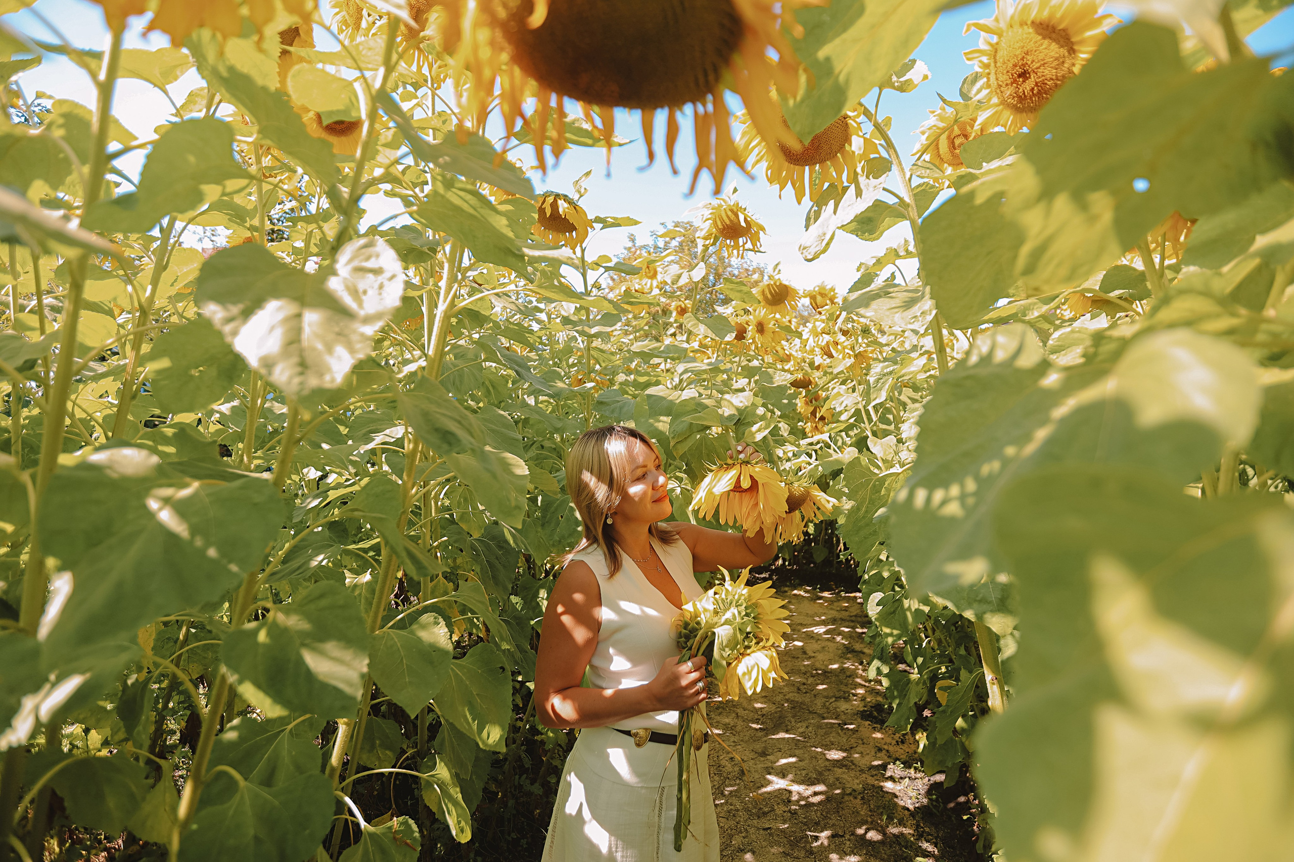 Подсолнухи. Семейный фотограф Тюмень, фотограф на роды Салмина Мария